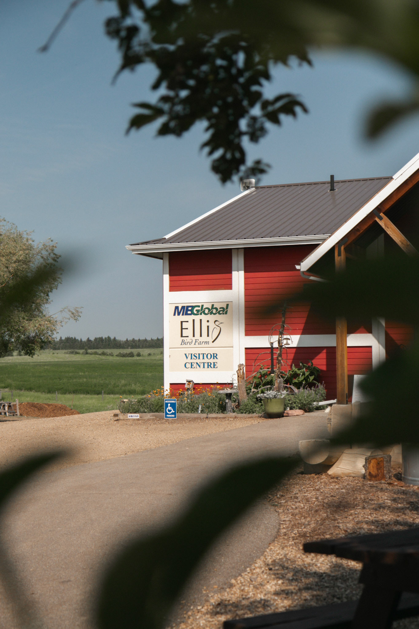 Ellis Bird Farm