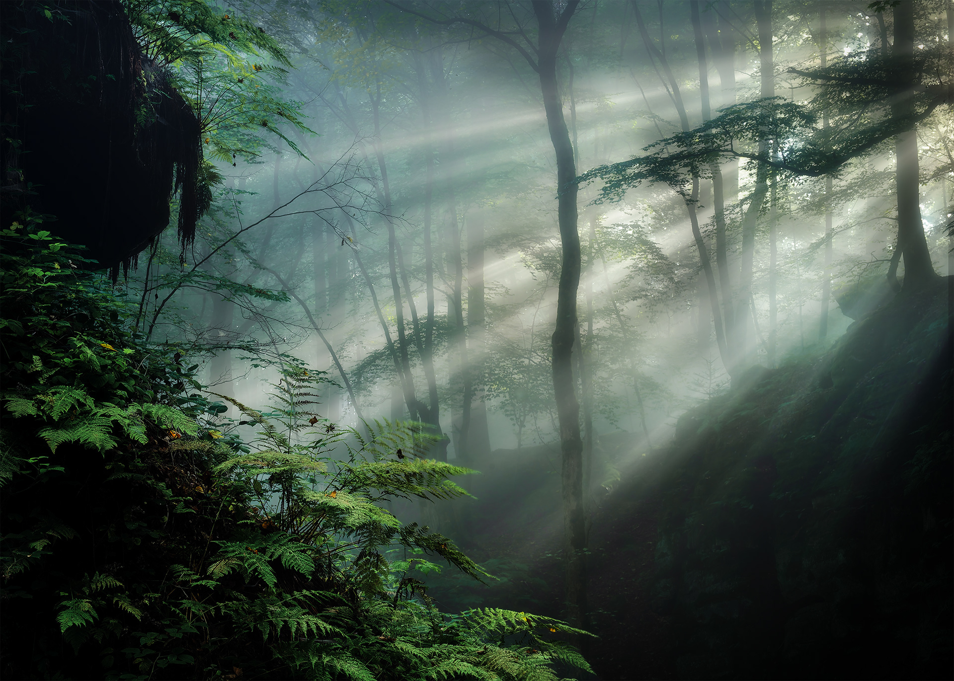 Sunbeams & Sandstone - Golden Rays pierce through the Misty Forest