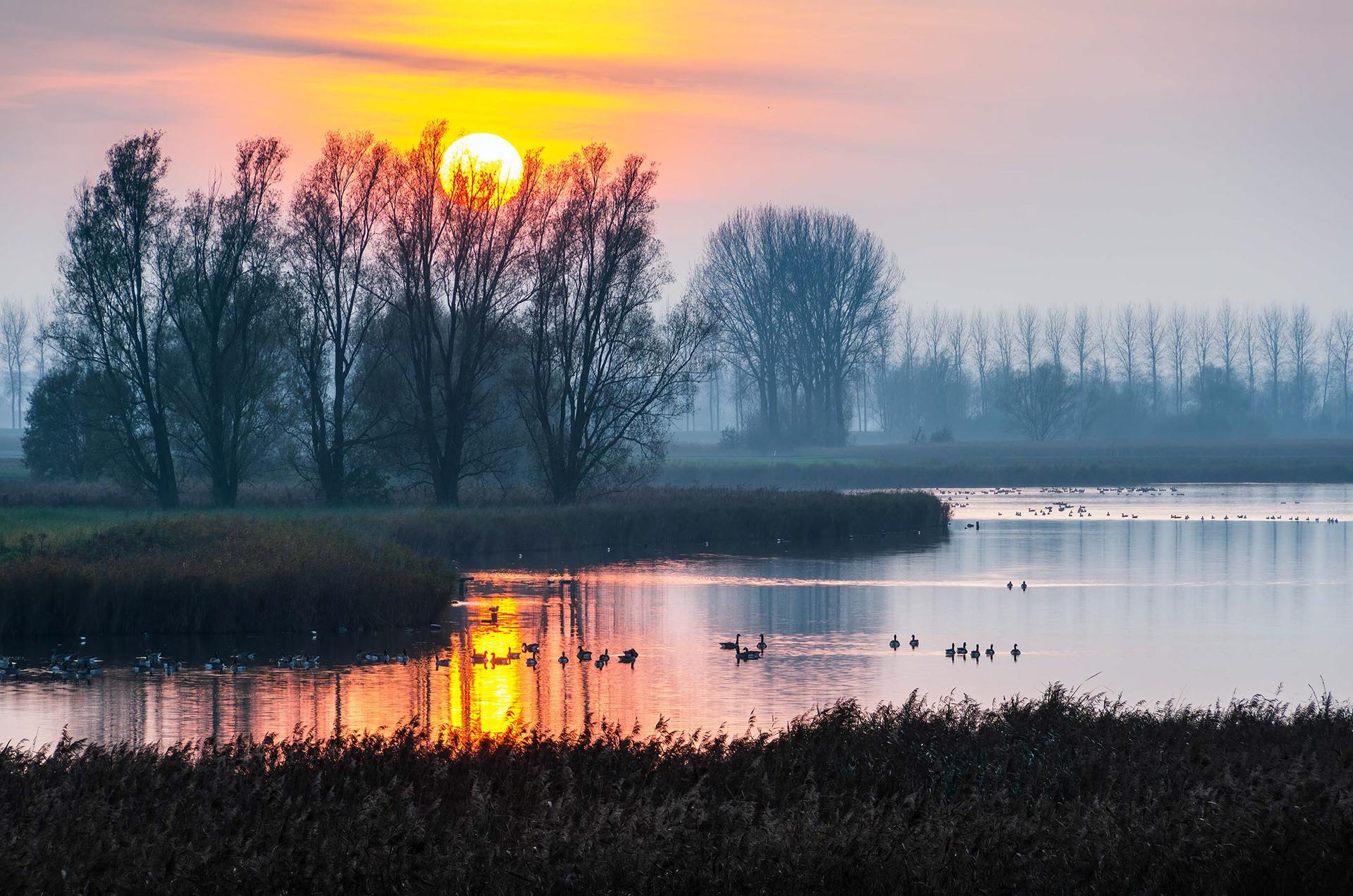 The Creek Before the World Wakes Up - Boerekreek at Dawn 