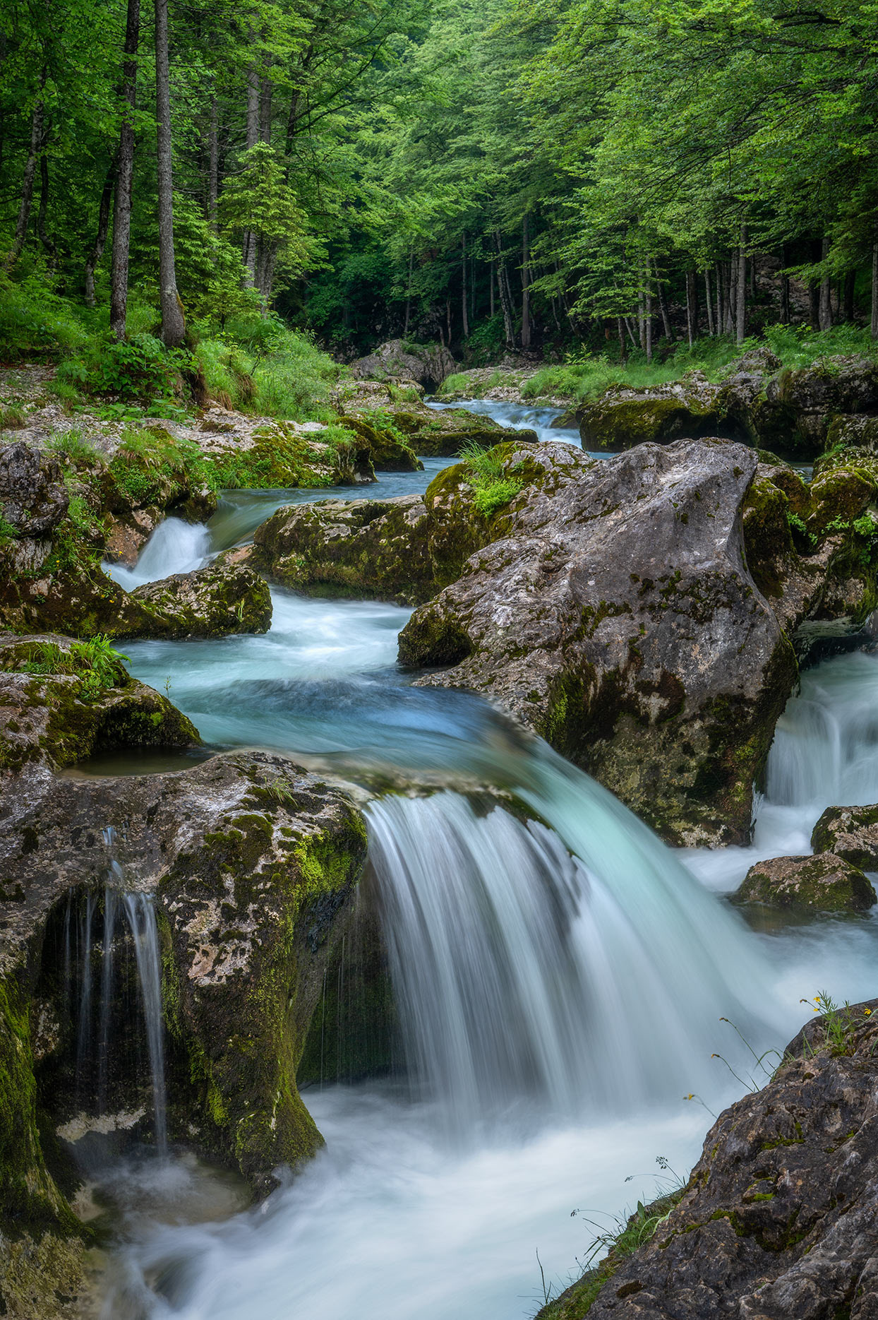 Flowing Emerald Green Water - Mostnica River 