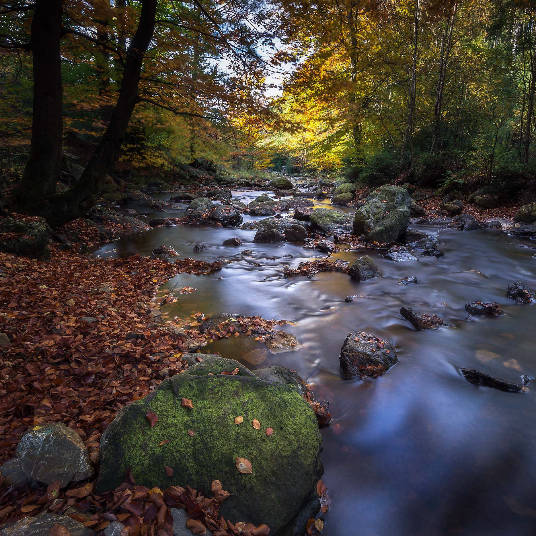 The River That Plays with the Rocks - Hoëgne River 