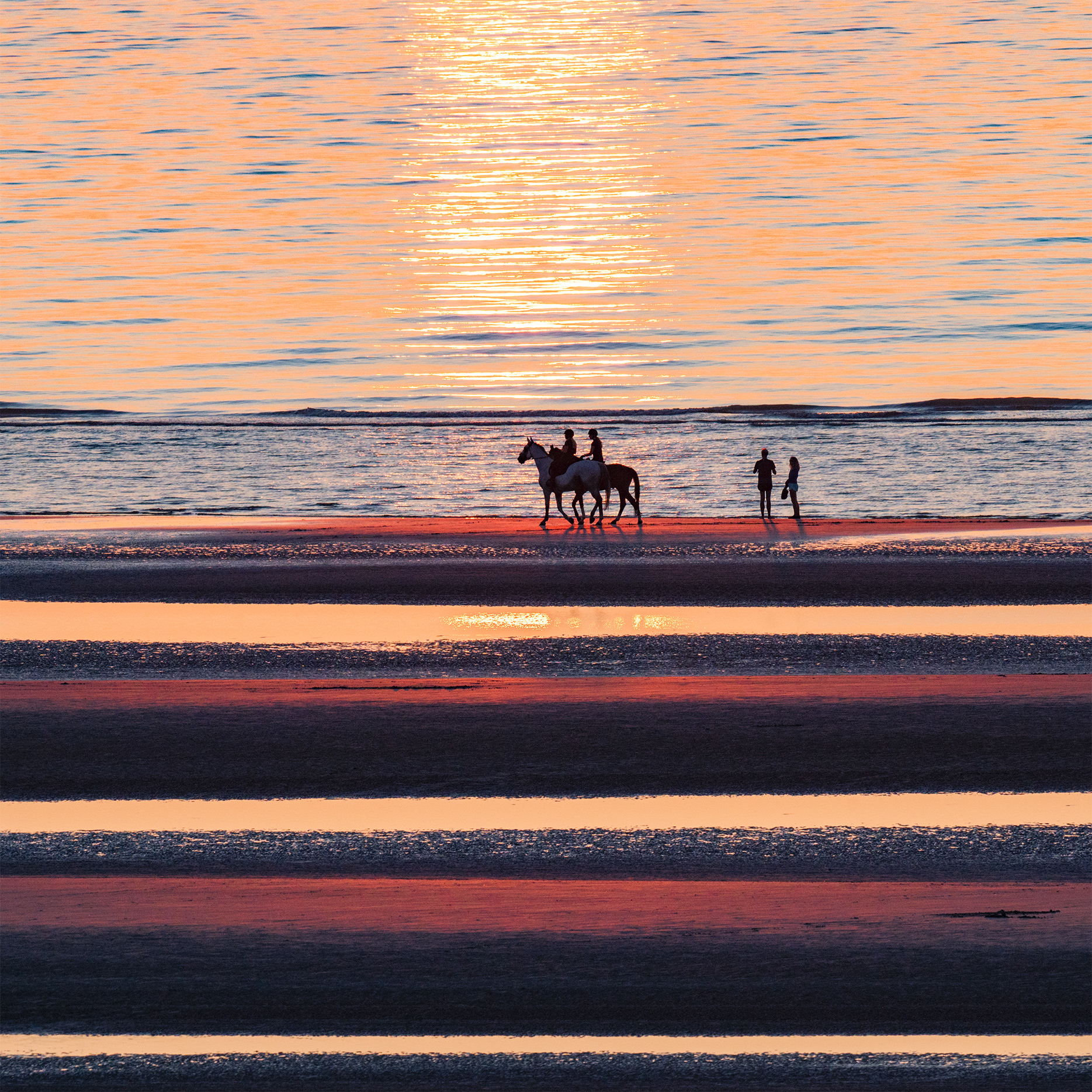 Between Sea and Sky - At the Belgian Coast