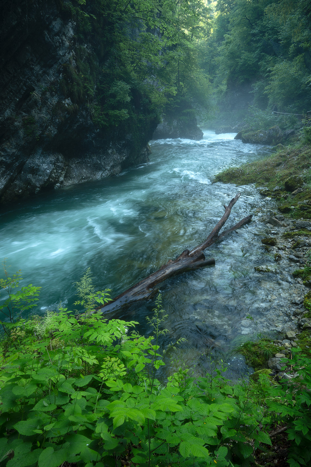 Clear Enough to See the Fish - Radovna River,, Slovenia