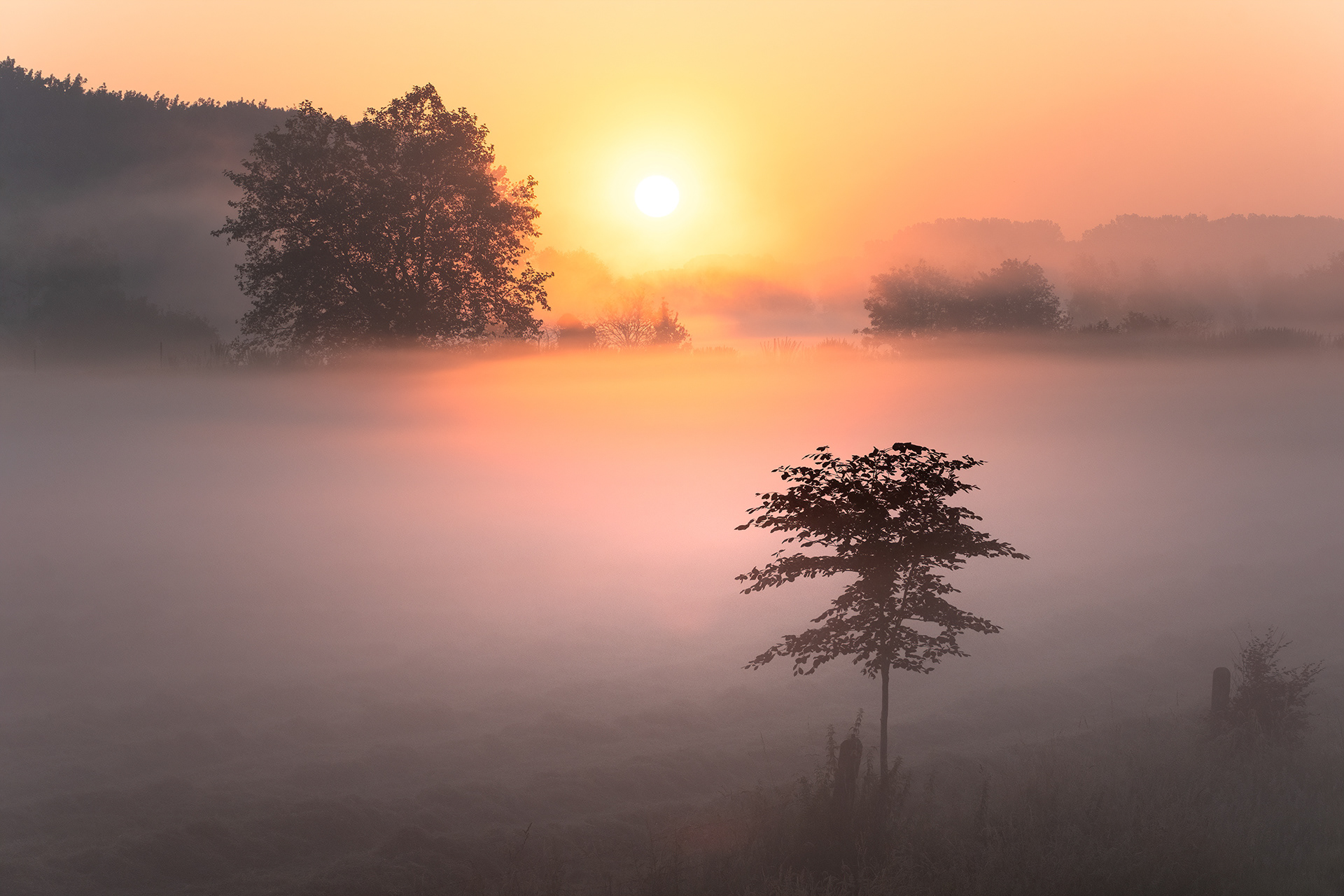 A Sea of Mist - Along the Banks of the Scheldt