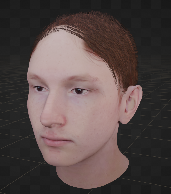 A 3D 'scan' of my face, with very uncanny hair.