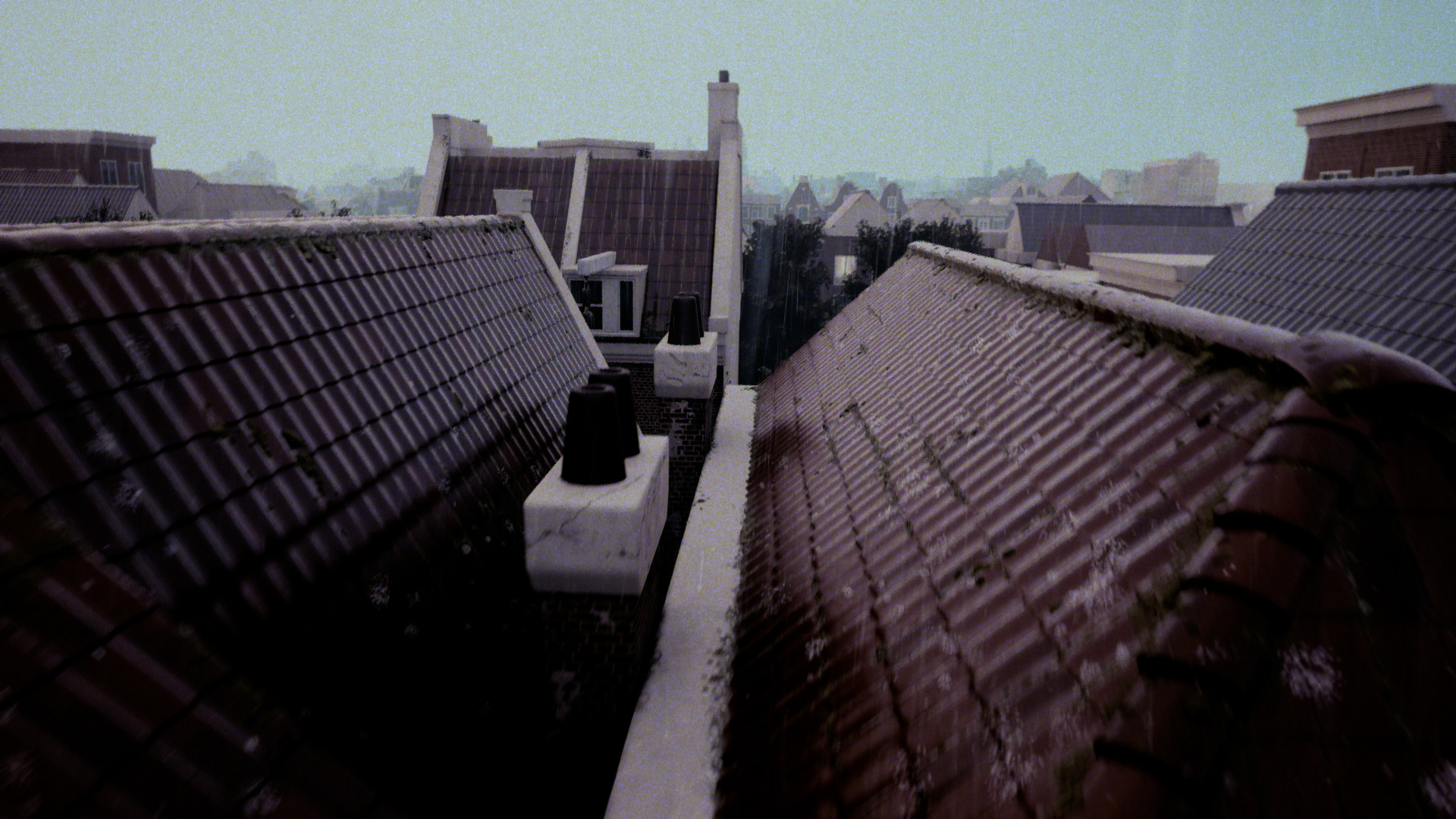 AMSTERDAM_MORNING RAIN