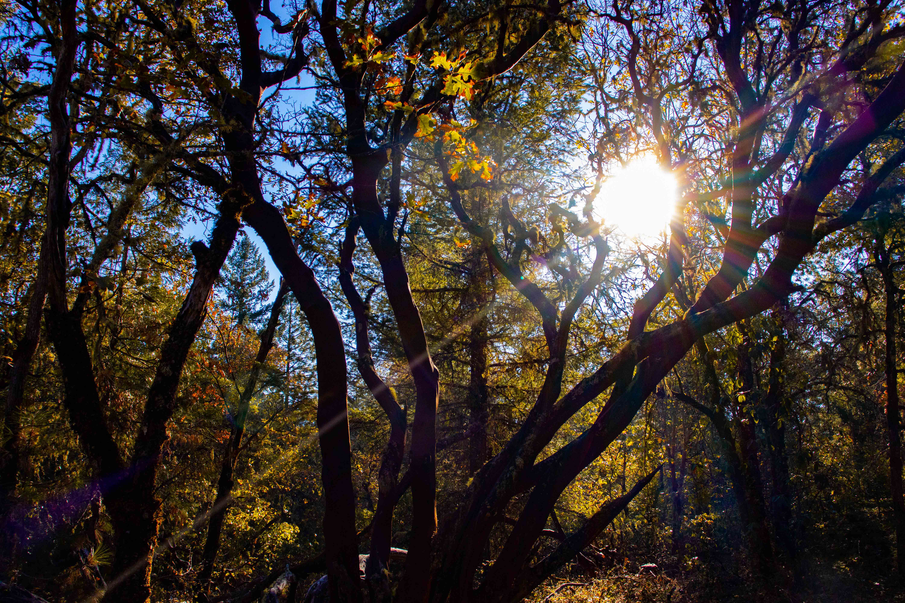 Cathedral Hills, Grants Pass, OR