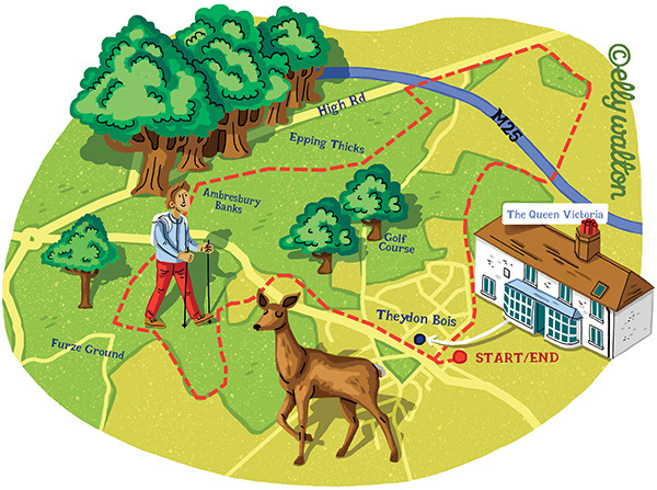 map illustration of countryside area roads cottage deer trees man walking