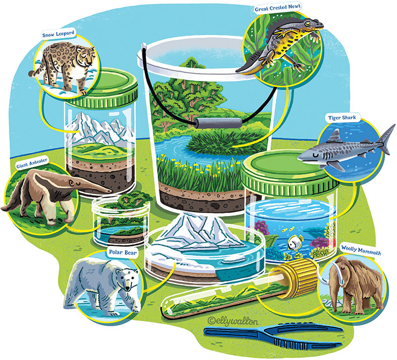 illustration showing containers with different landscapes inside and pop outs with different animals