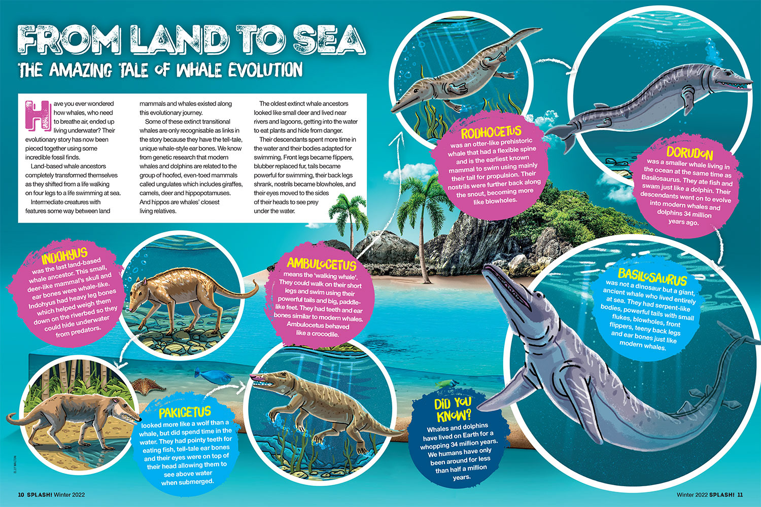 illustration magazine spread showing the evolution of the whale from prehistoric to modern day