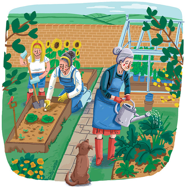 illustration of old woman, middle aged woman and girl working in a garden