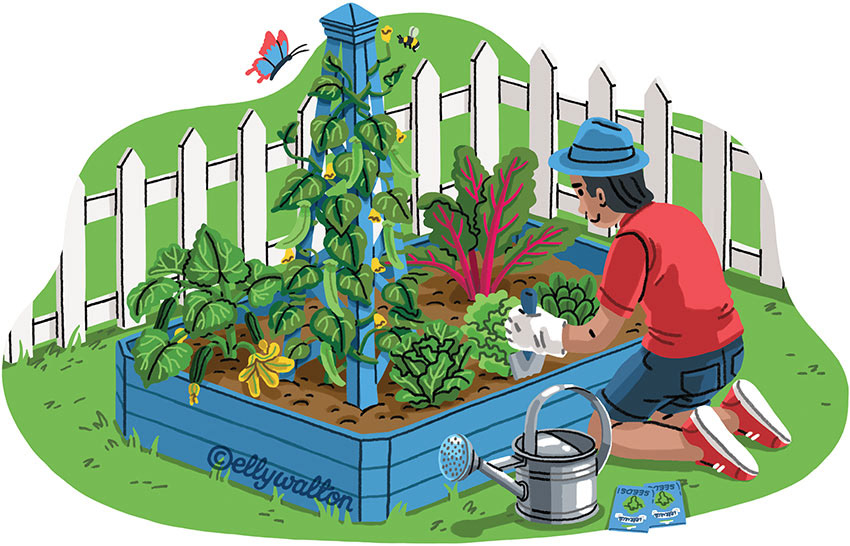 illustration of black man gardening raised bed of vegetables