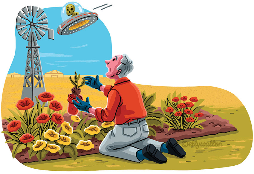 Illustration of a man gardening a flower bed, whilst a UFO is about to crash into a windmill in the background