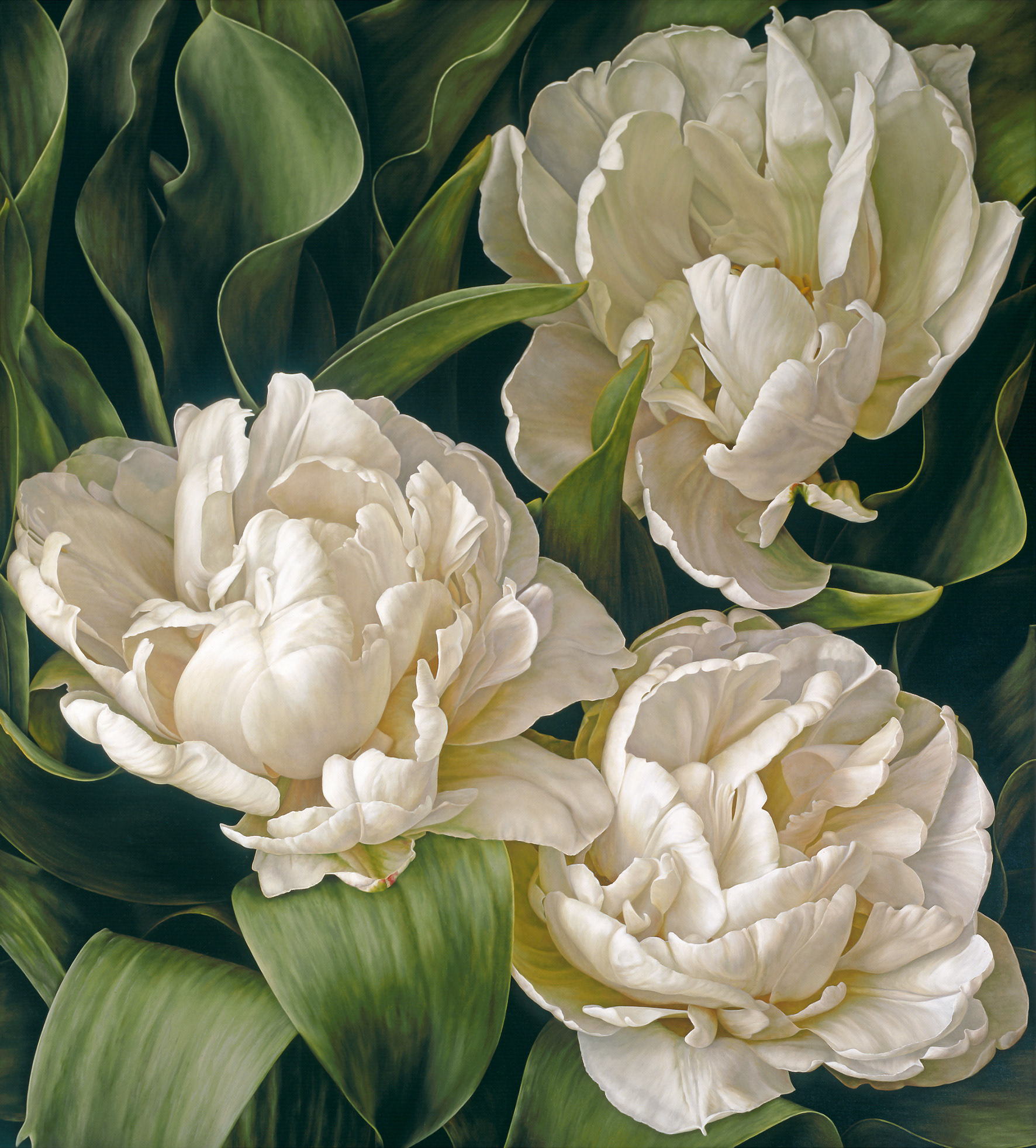 Миа тарни художник. Цветы зеленоград. Mia tarney. Mia flowers. Mia flowers.