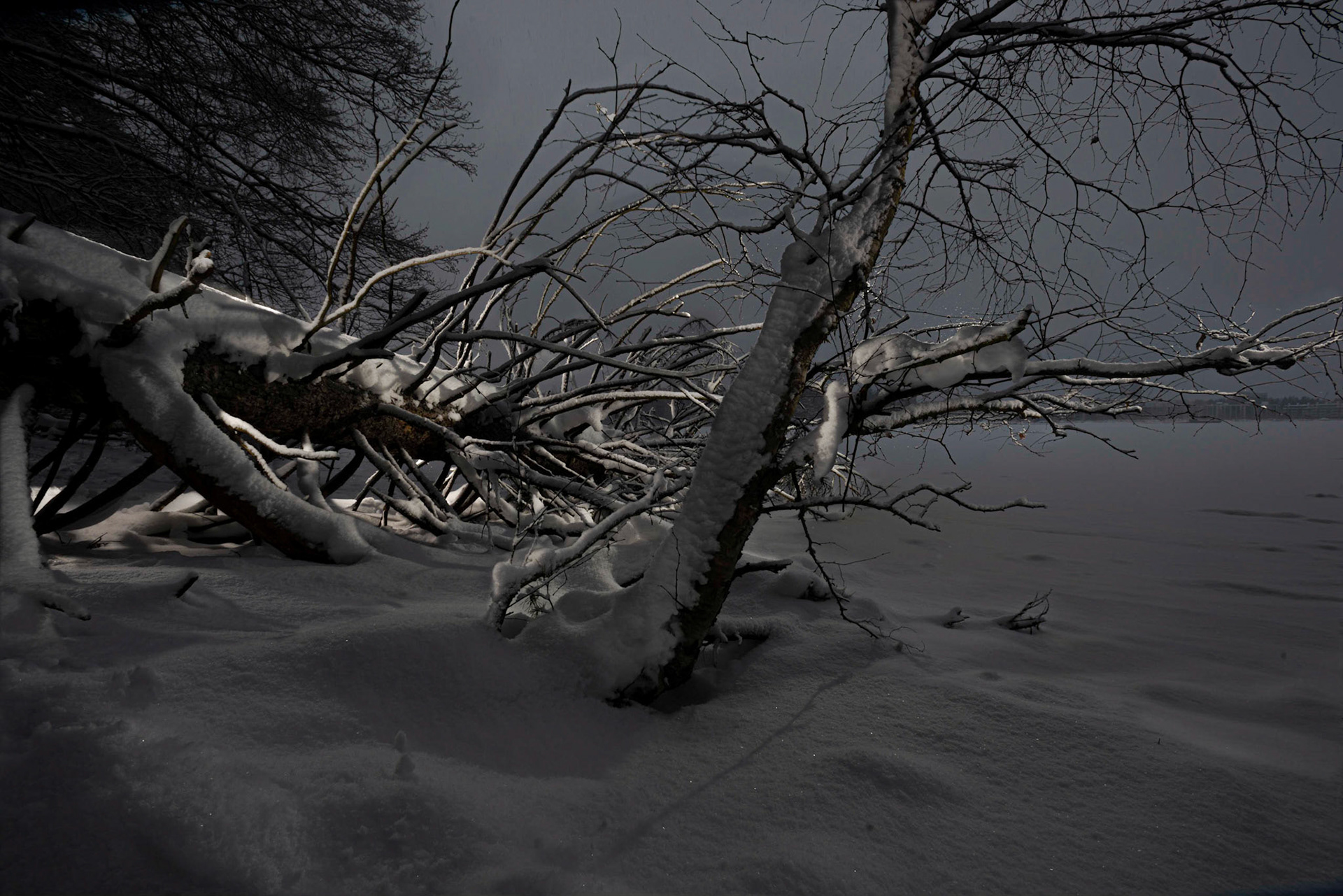Helsinki 00980. Series Amazing Nature, 2020-