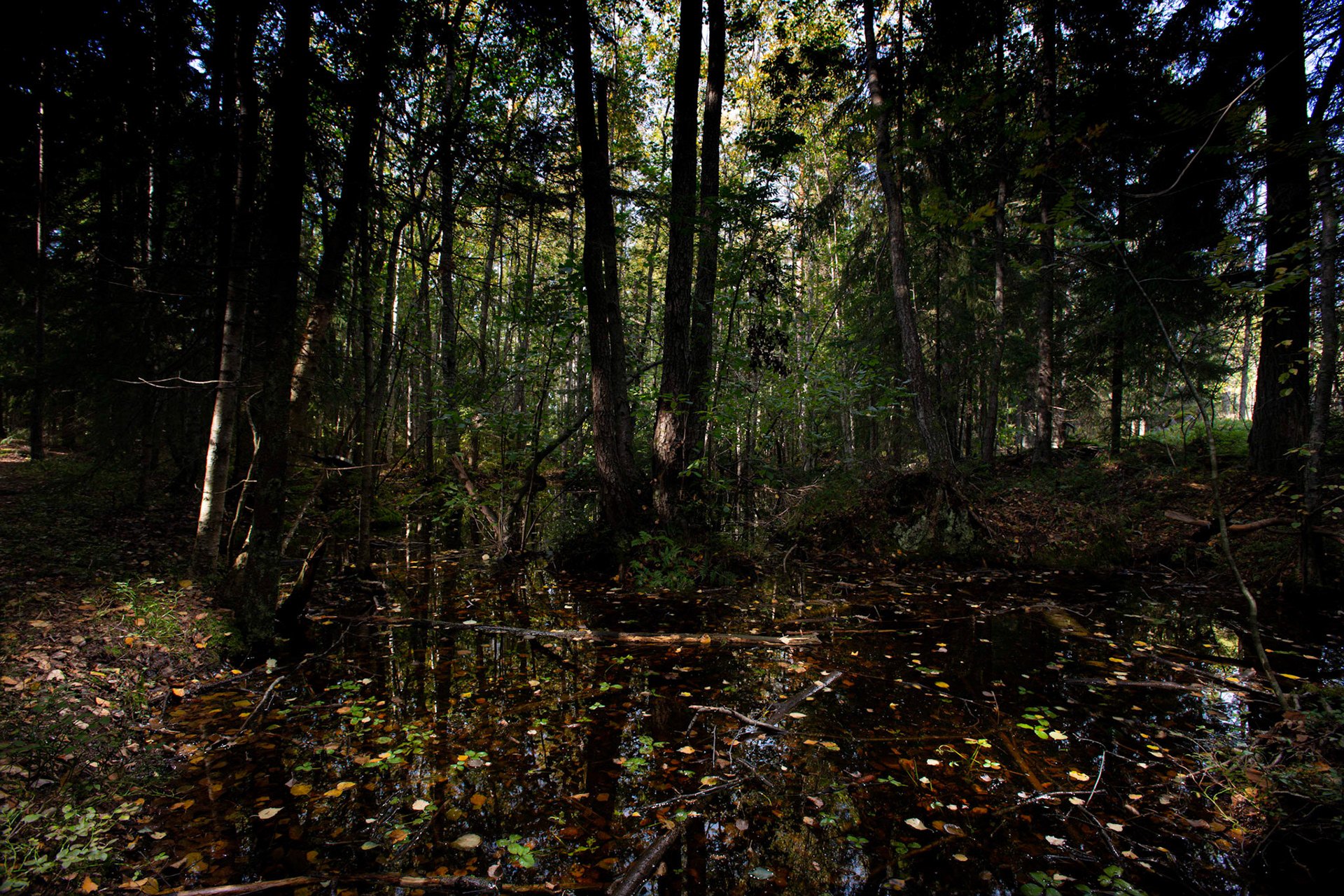 Helsinki 00970. Series Amazing Nature, 2020-0. Series Amazing Nature, 2020-