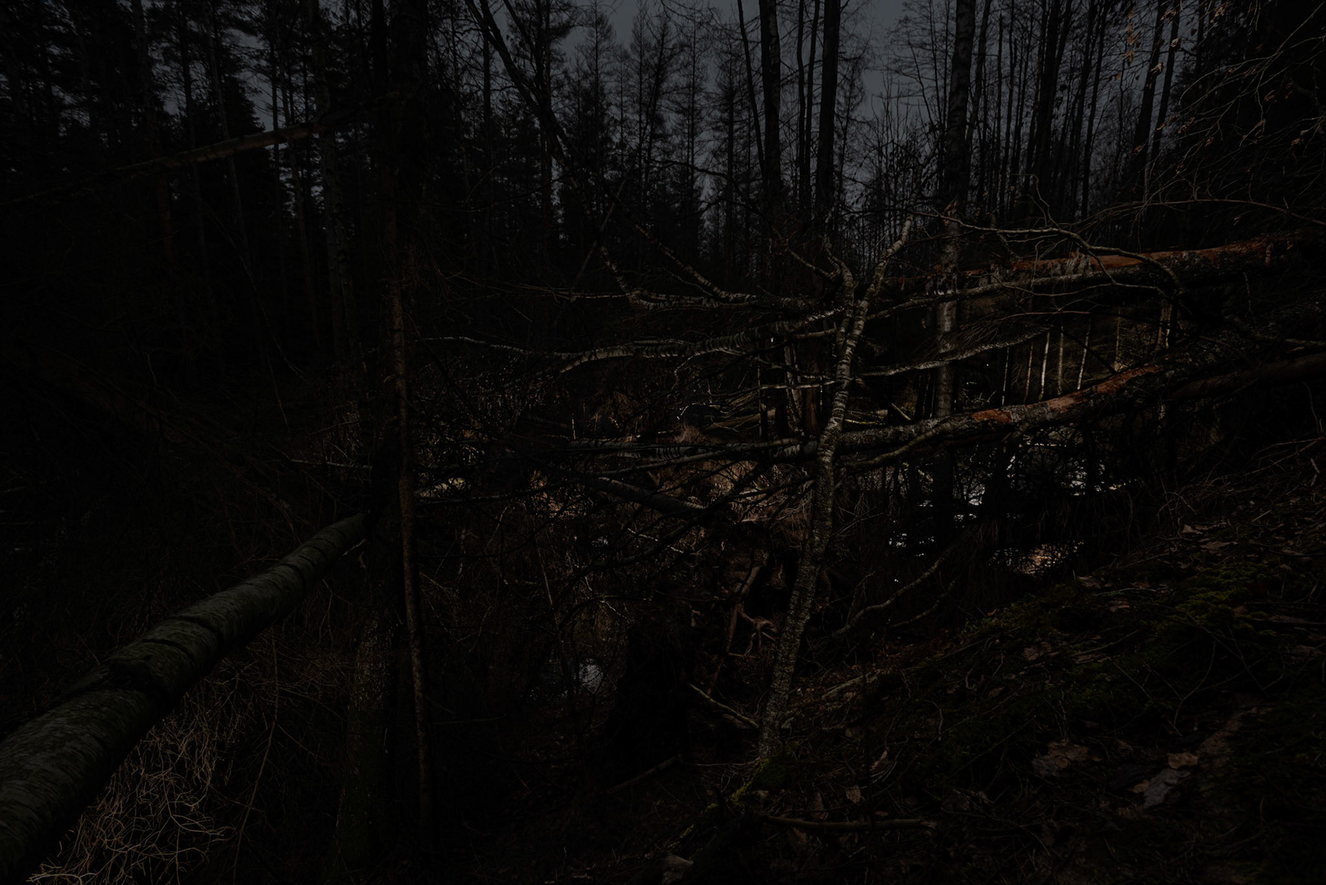 Helsinki 00390. Series Amazing Nature, 2020-