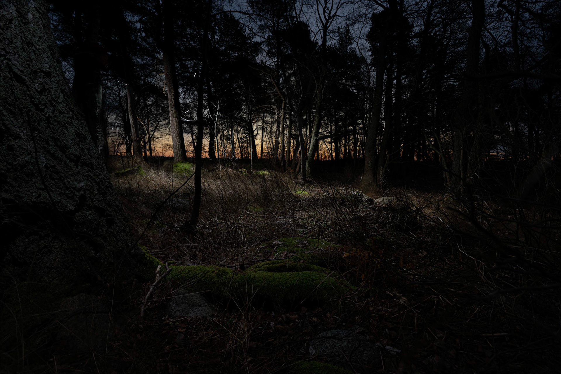 Helsinki 00210. Series Amazing Nature, 2020-