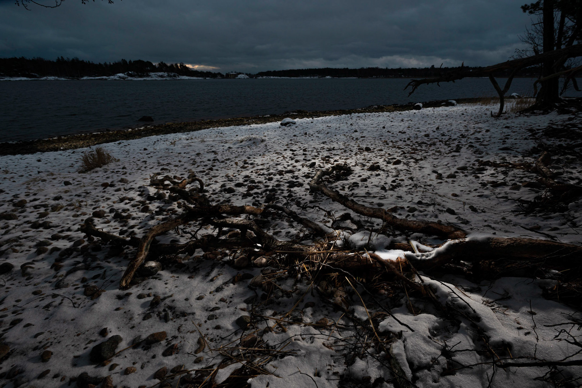Helsinki 00590. Series Amazing Nature, 2020-