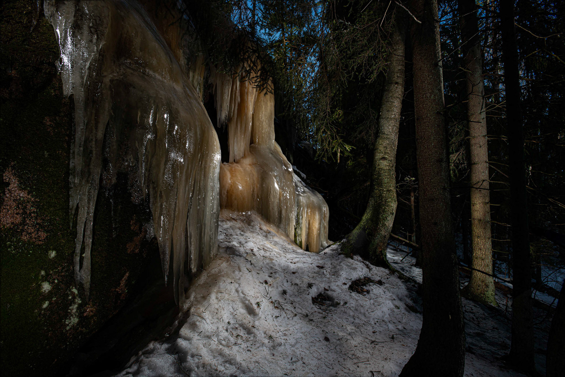 Helsinki 00890. SSeries Amazing Nature, 2020-