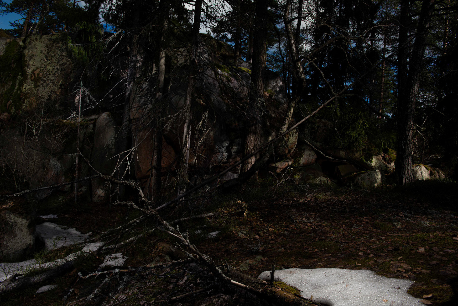 Helsinki 00890. Series Amazing Nature, 2020-