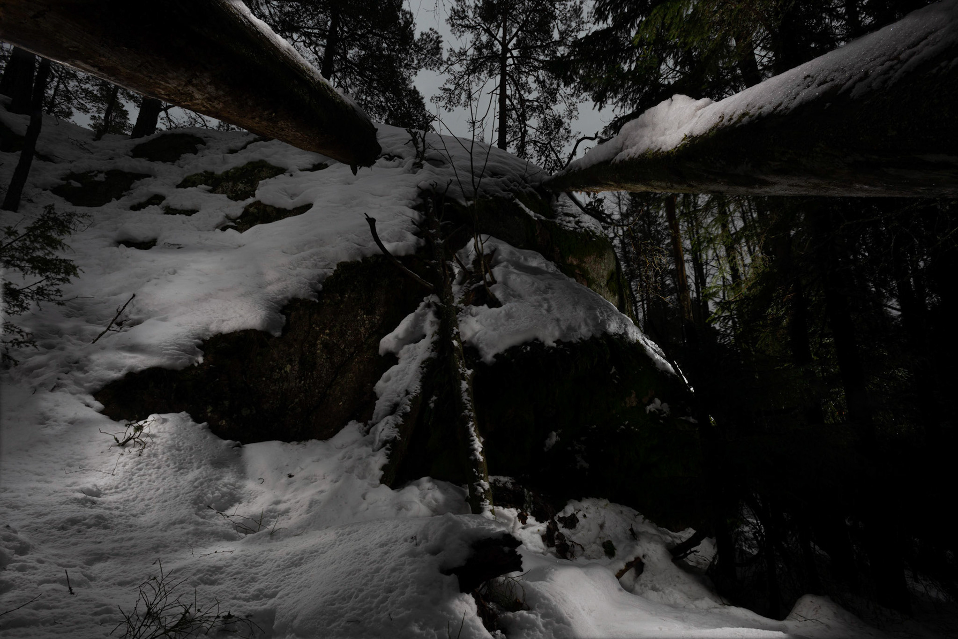 Helsinki 00890. Series Amazing Nature, 2020-