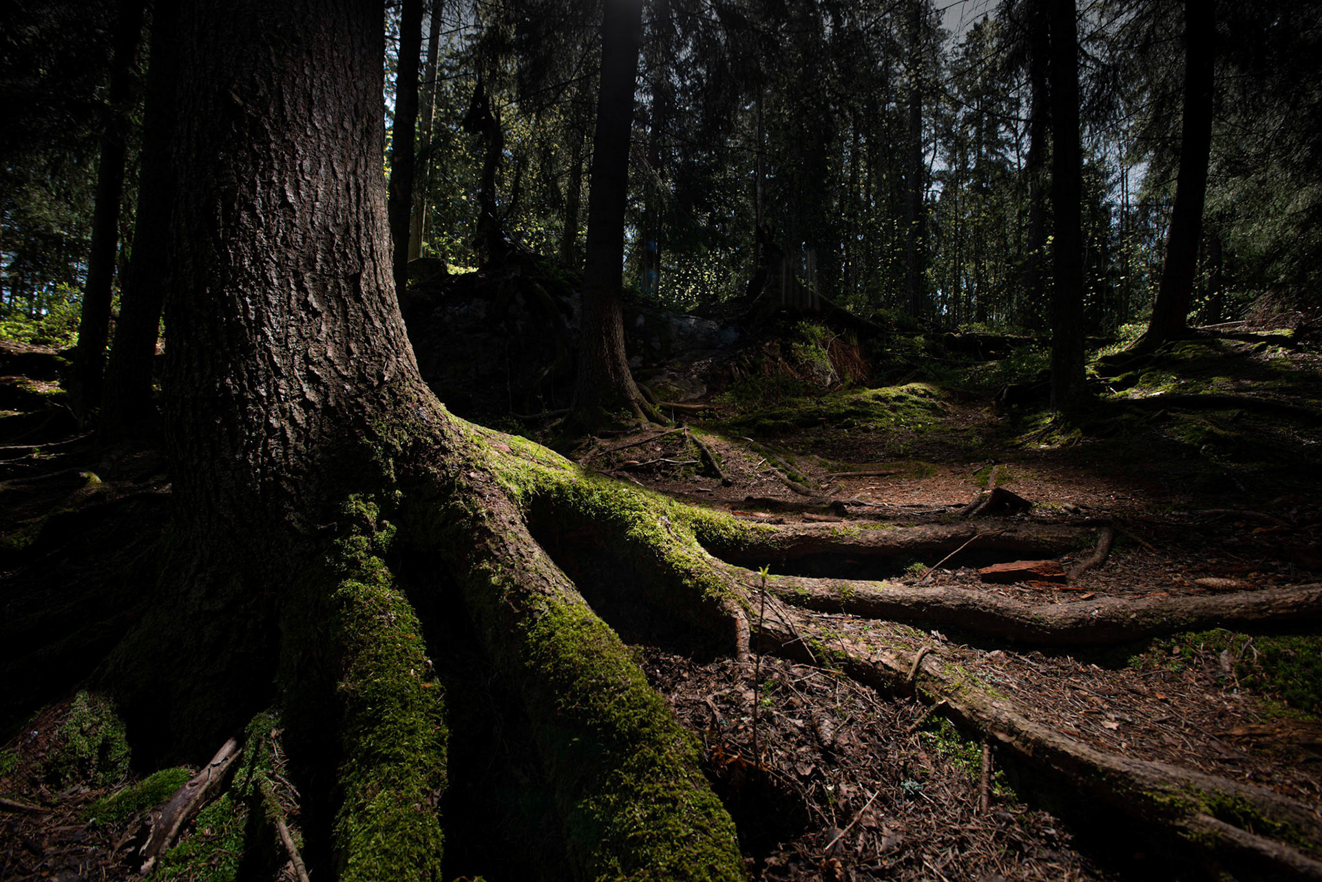 Helsinki 00810. Series Amazing Nature, 2020-