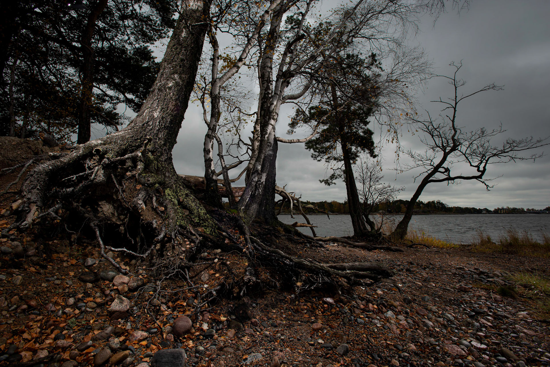 Helsinki 00590. Series Amazing Nature, 2020-