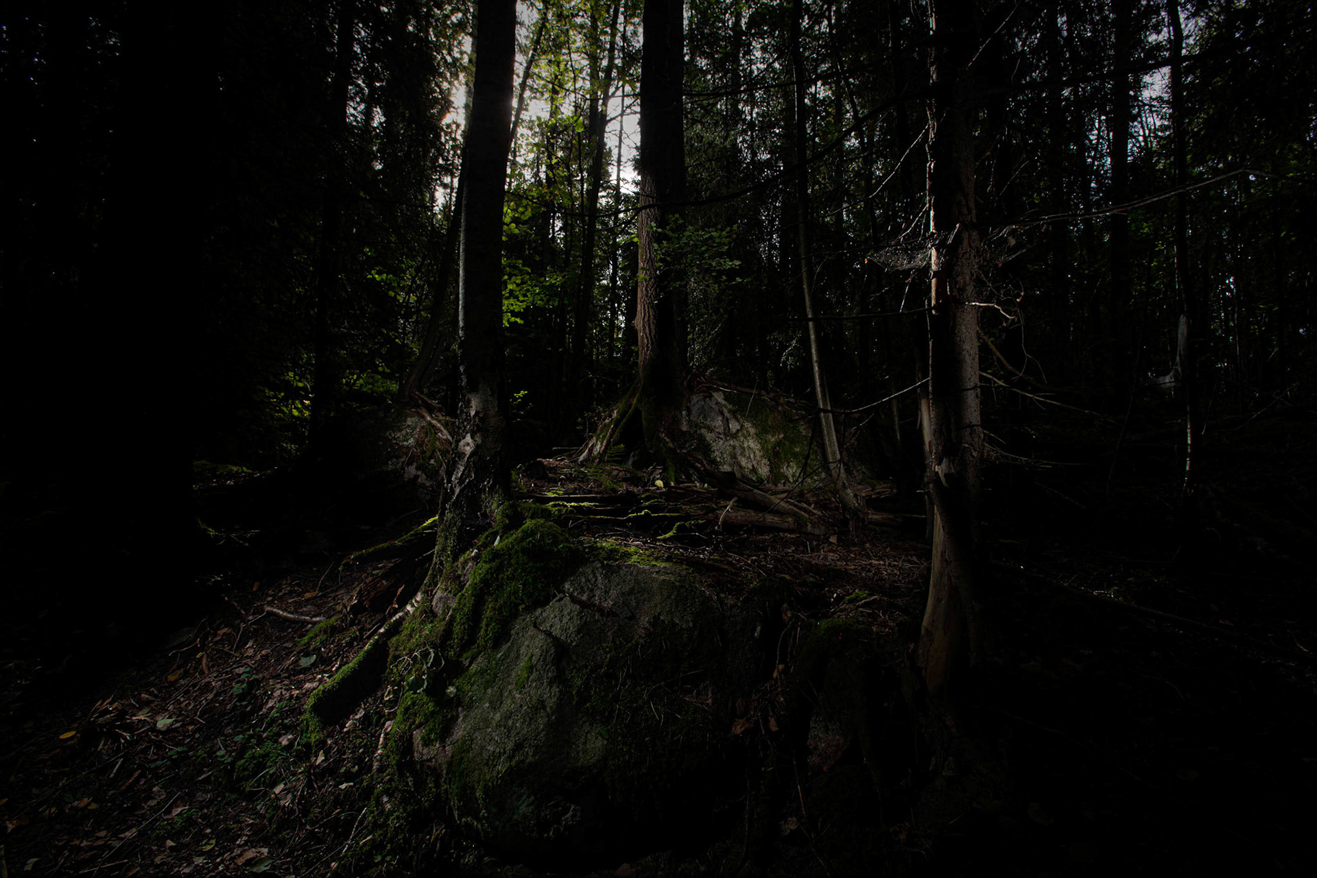 Helsinki 00970. Series Amazing Nature, 2020-