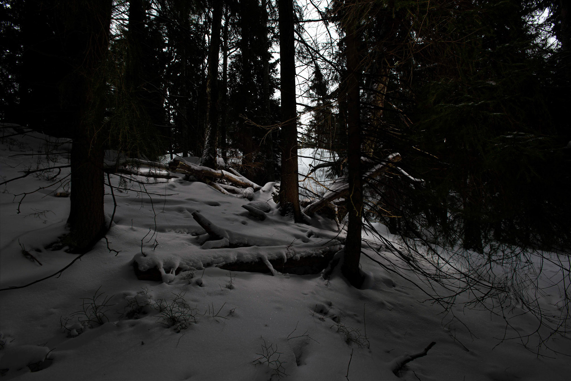 Helsinki 00850. Series Amazing Nature, 2020-