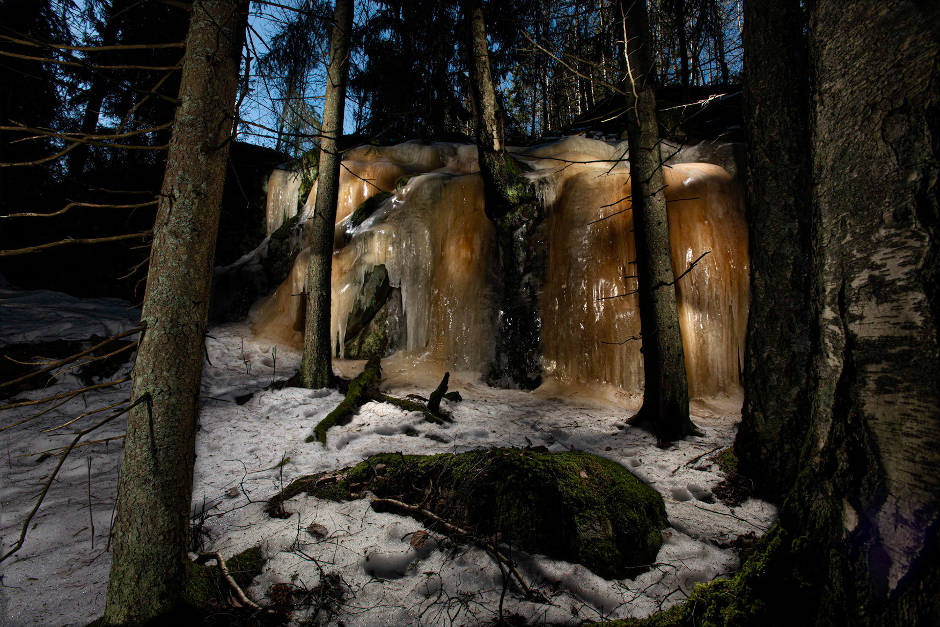 Helsinki 00890. Series Amazing Nature, 2020-