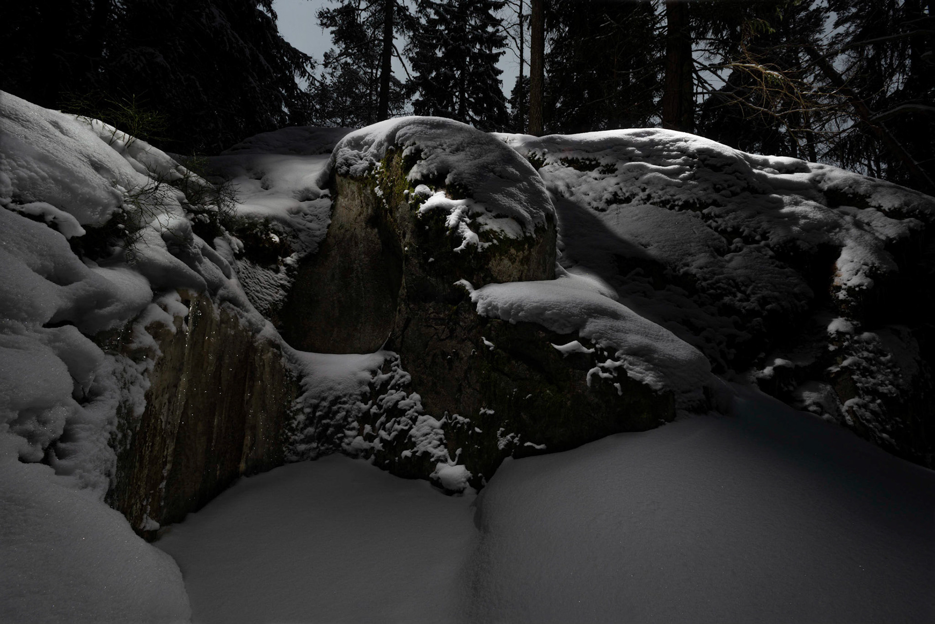 Helsinki 00850. Series Amazing Nature, 2020-