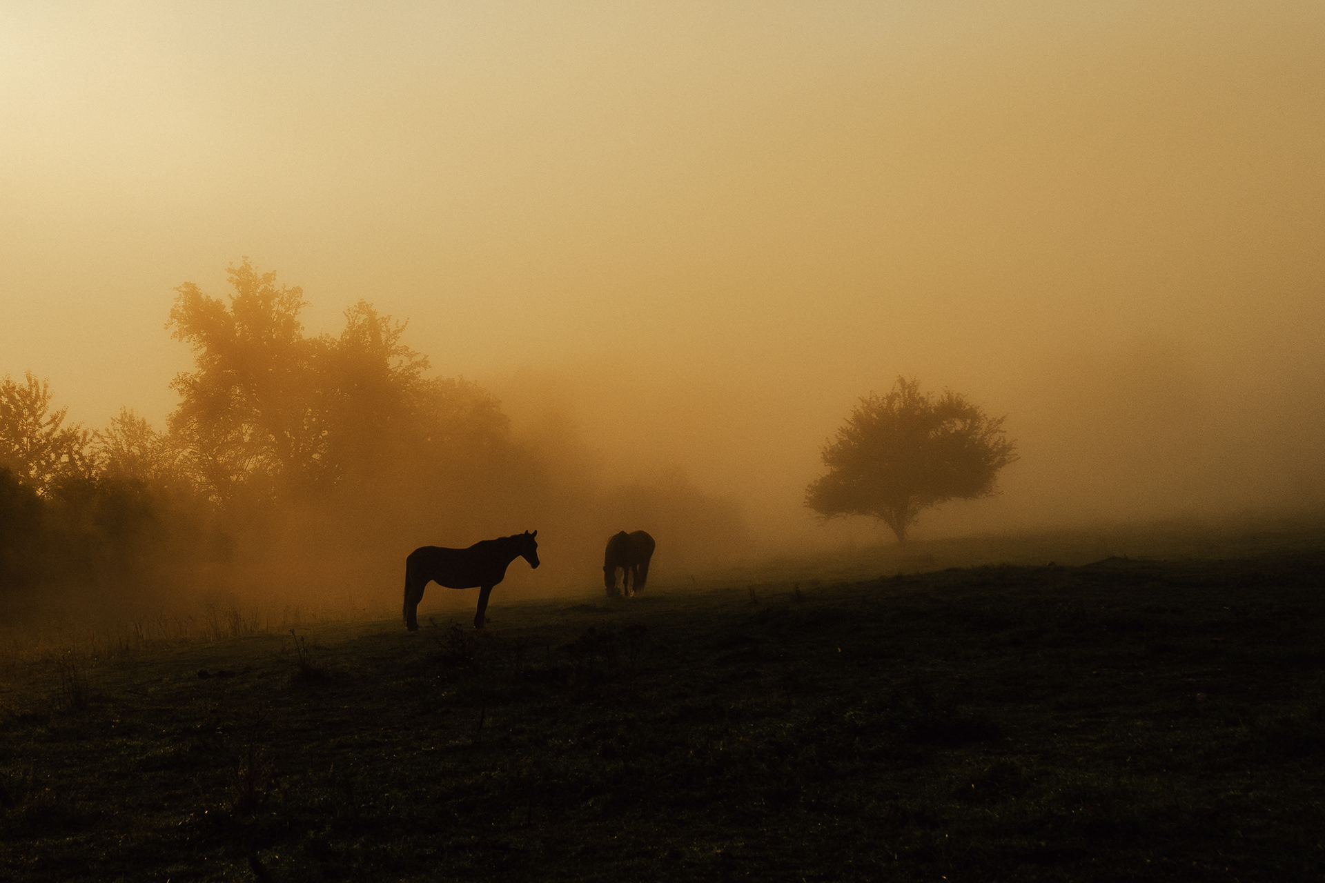 Kone / 038