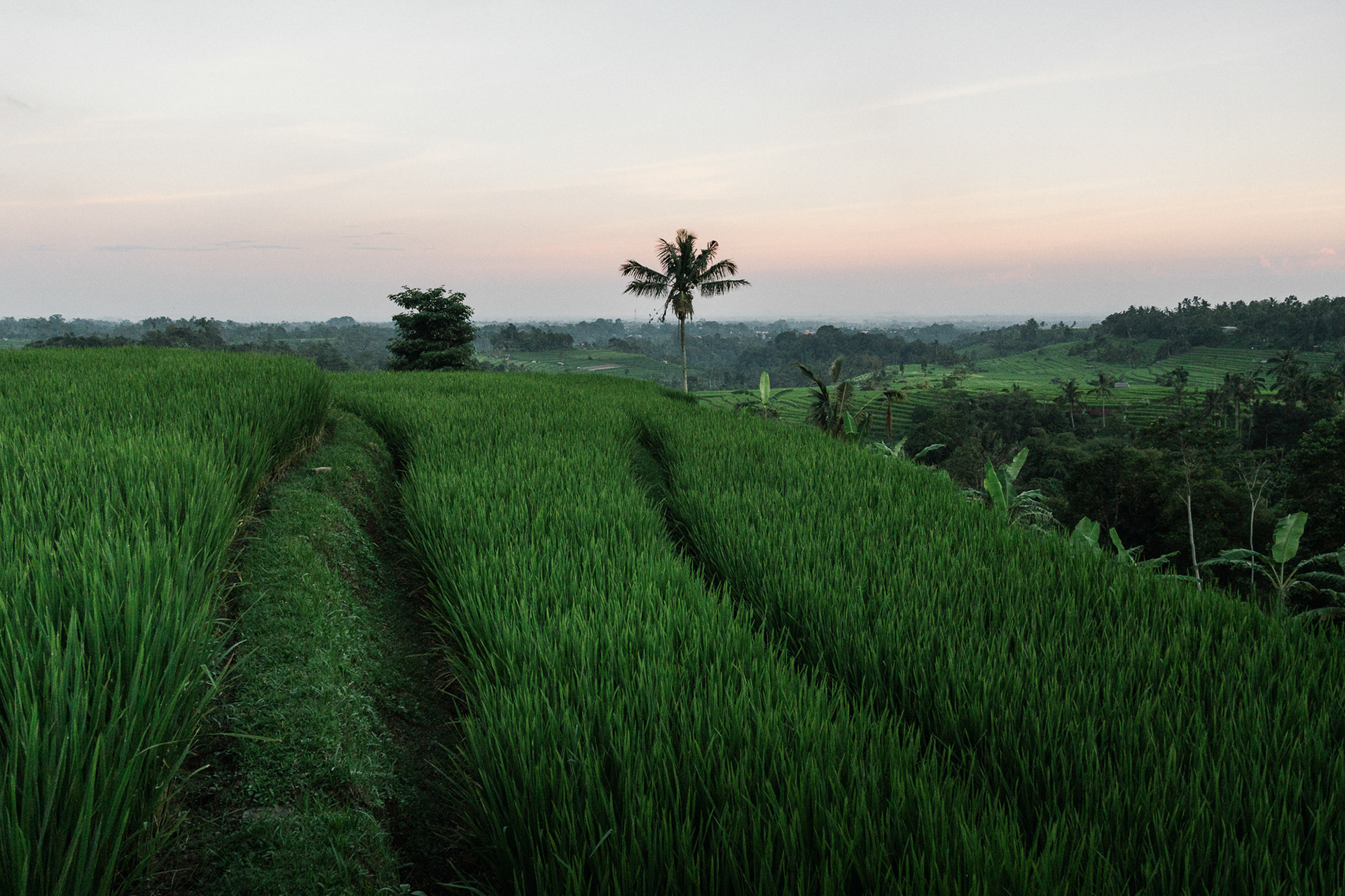 Bali / 139
