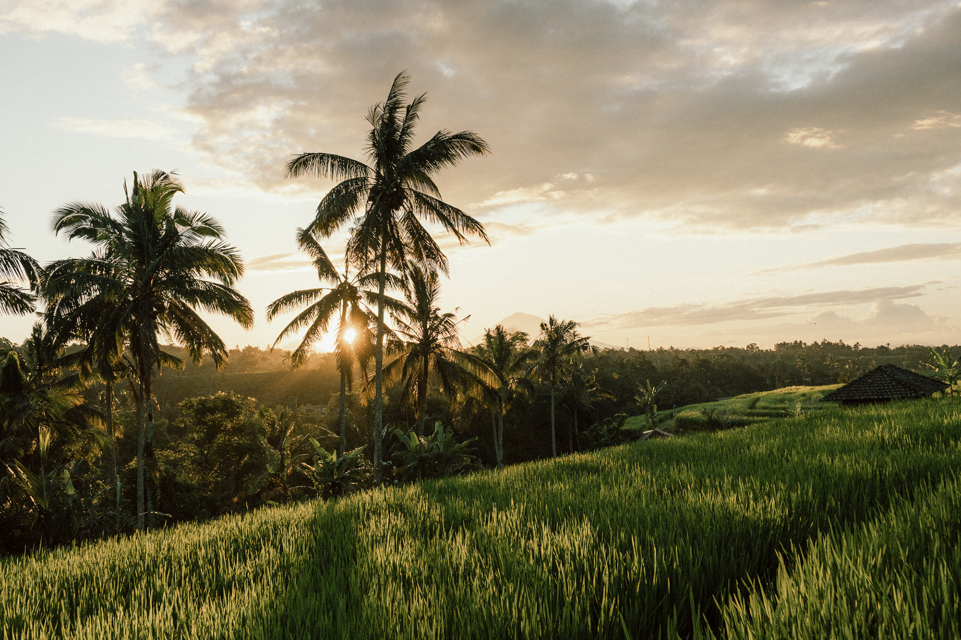 Bali / 144
