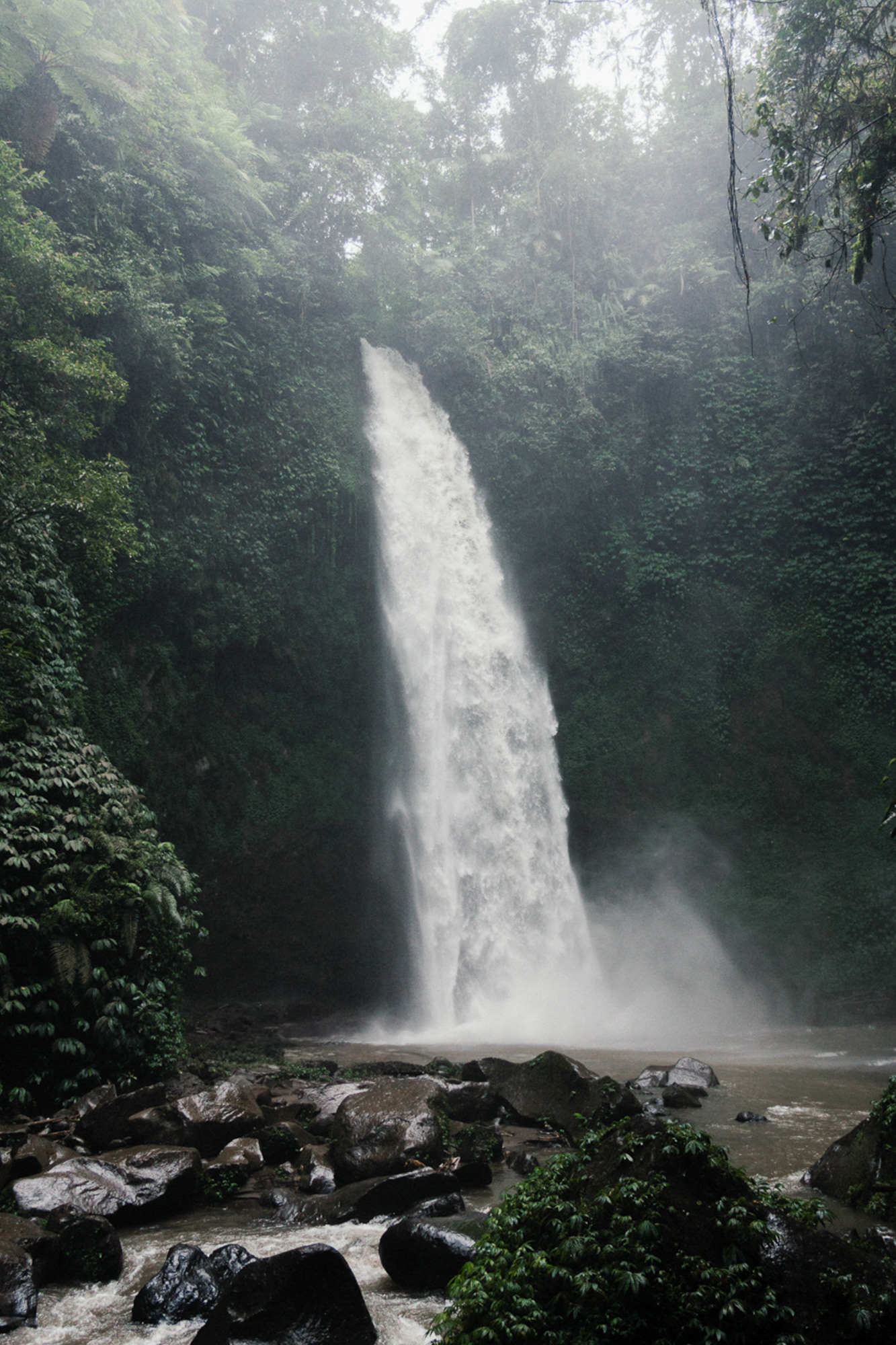 Bali / 140