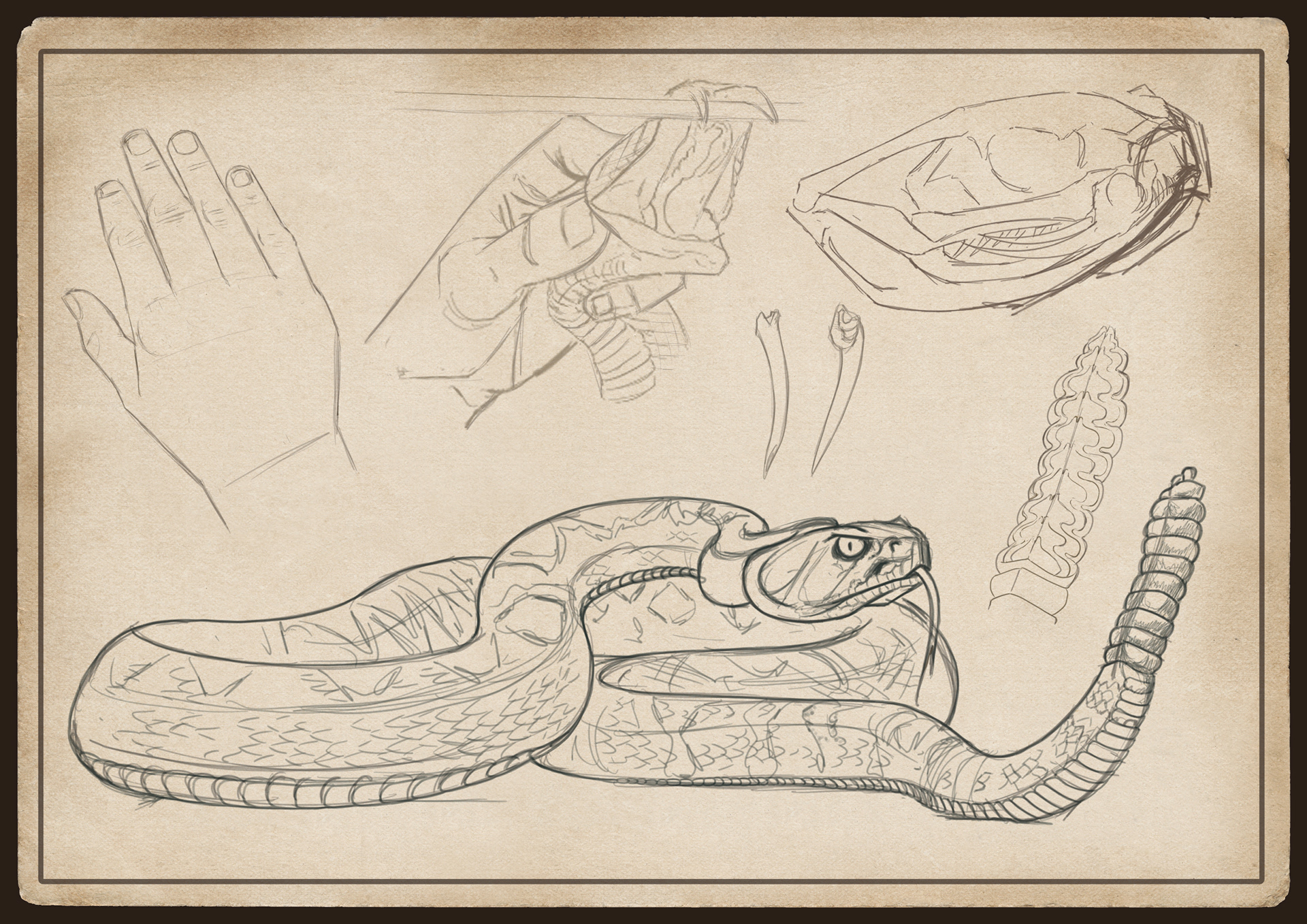 Serpiente de Cascabel