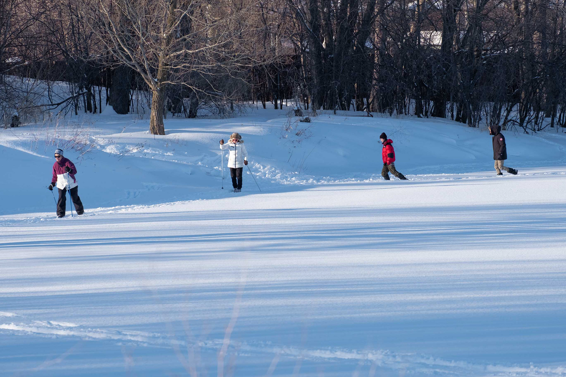 Skiing on the Frozen Rideau River