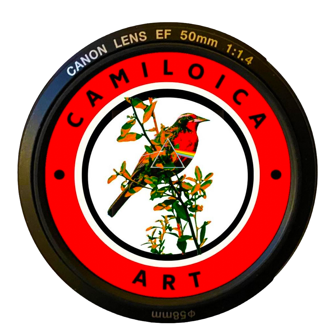 Camila Luengo Codoceo