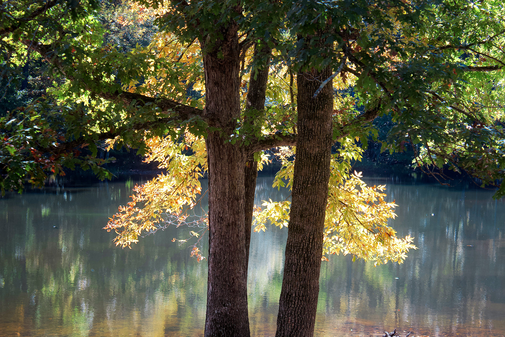 Digital Reflection Examples Studio-MZ Portfolio - Photography