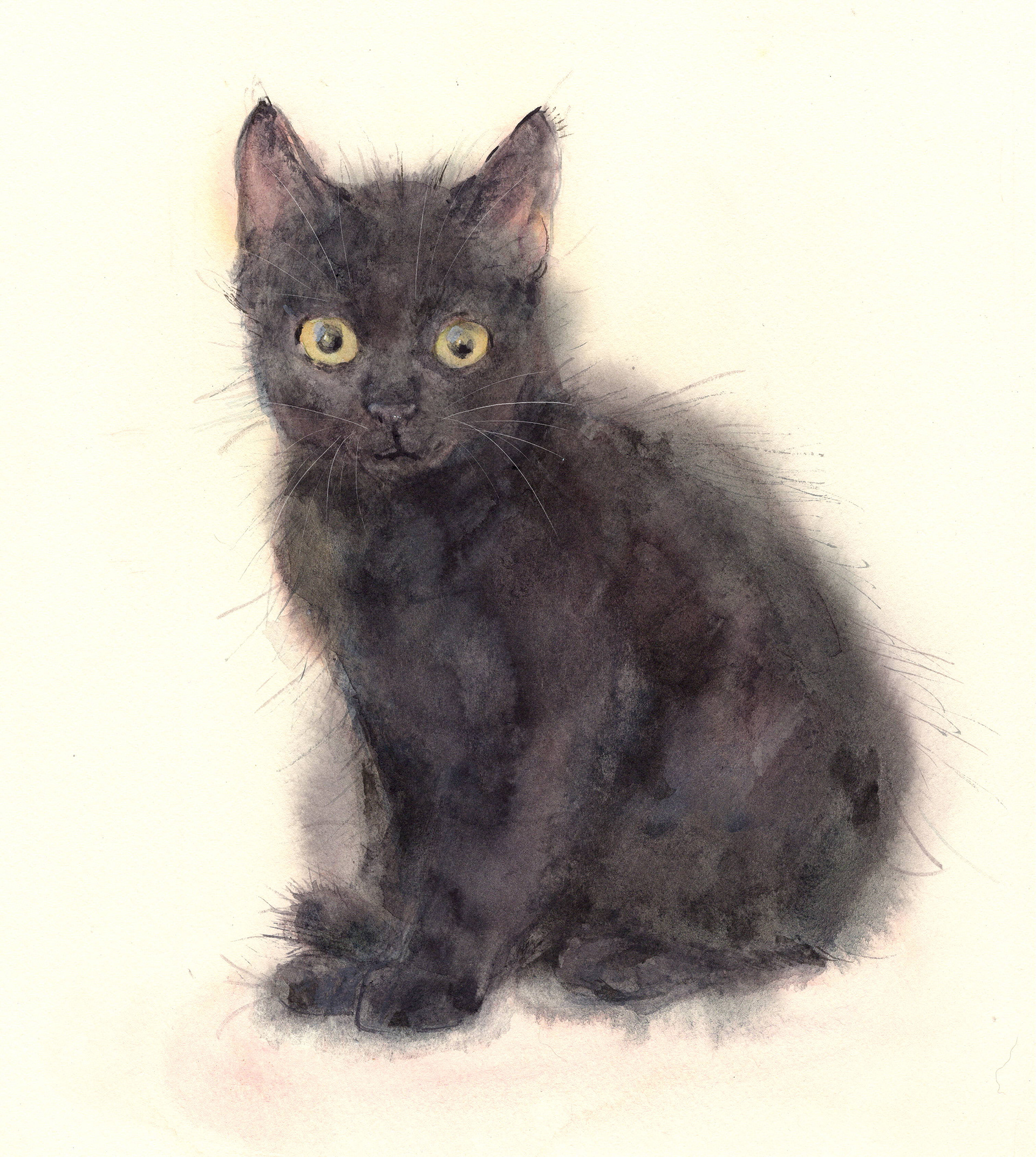 生粋野良猫のクノちゃん、緊張しています