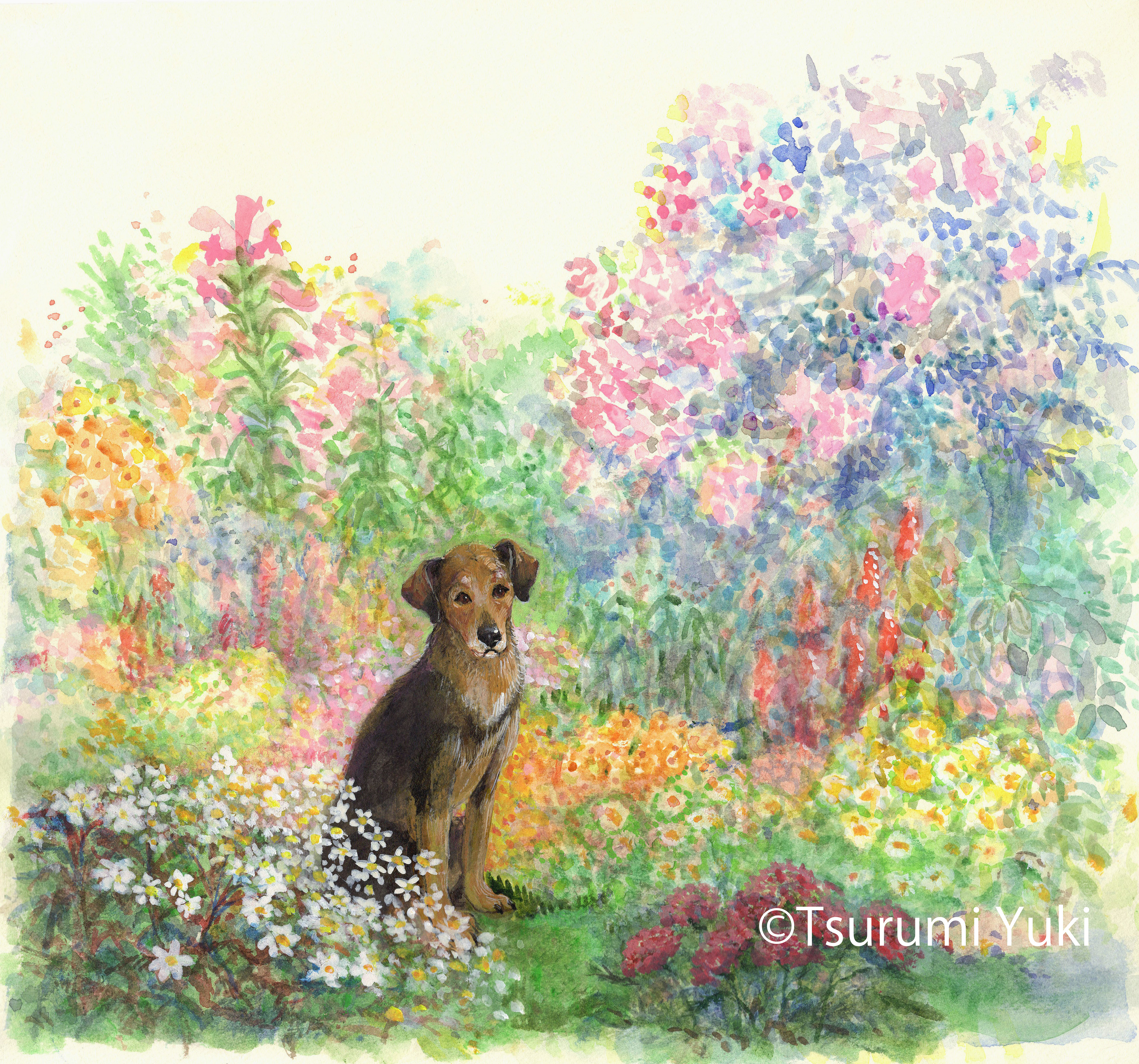 ラビと歩く花の中