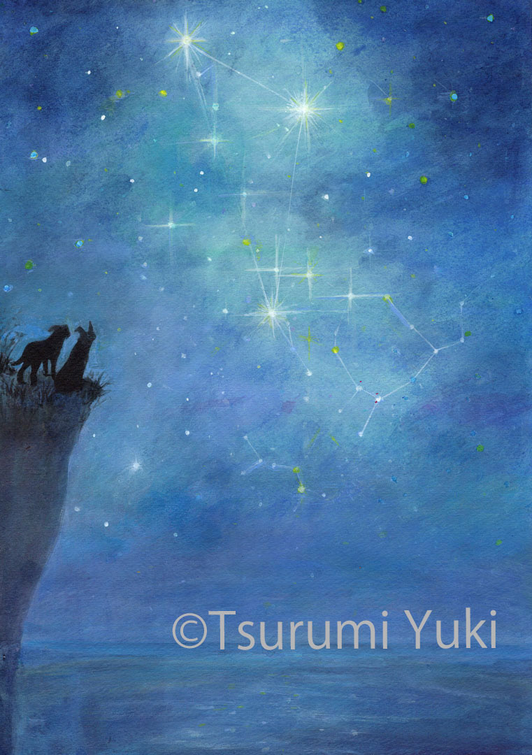 ねえちゃんとならどこまでも 星の夜