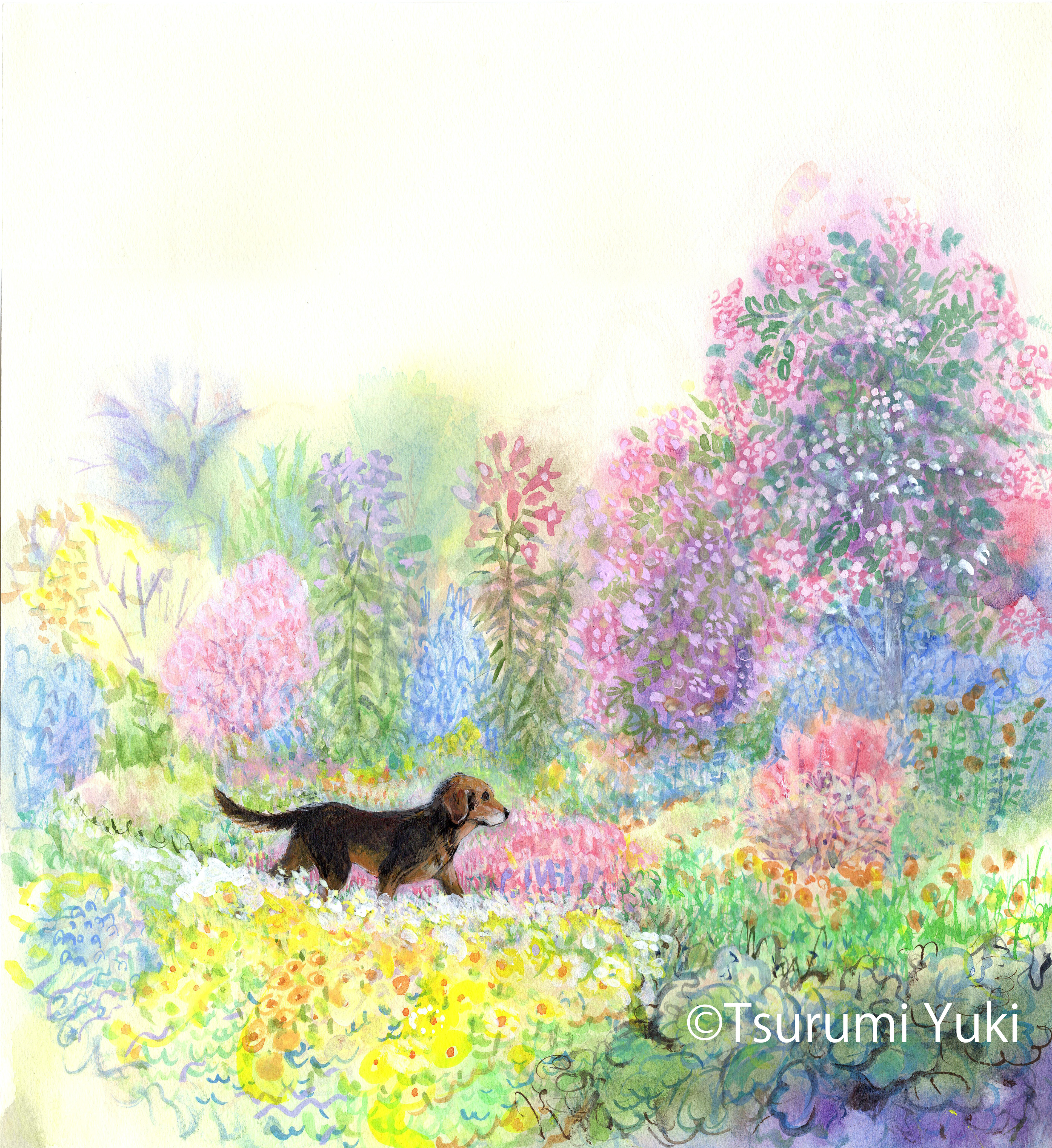 ラビと歩く花の道