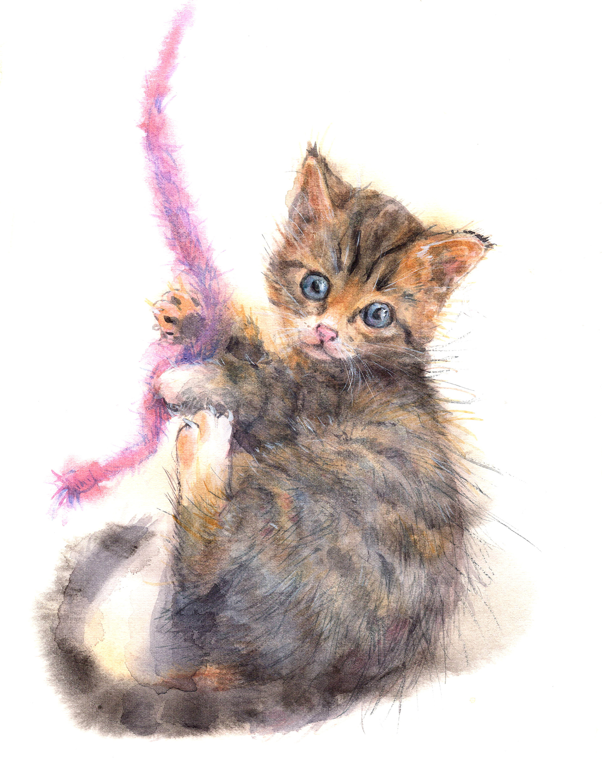 人慣れしている子猫ちゃん