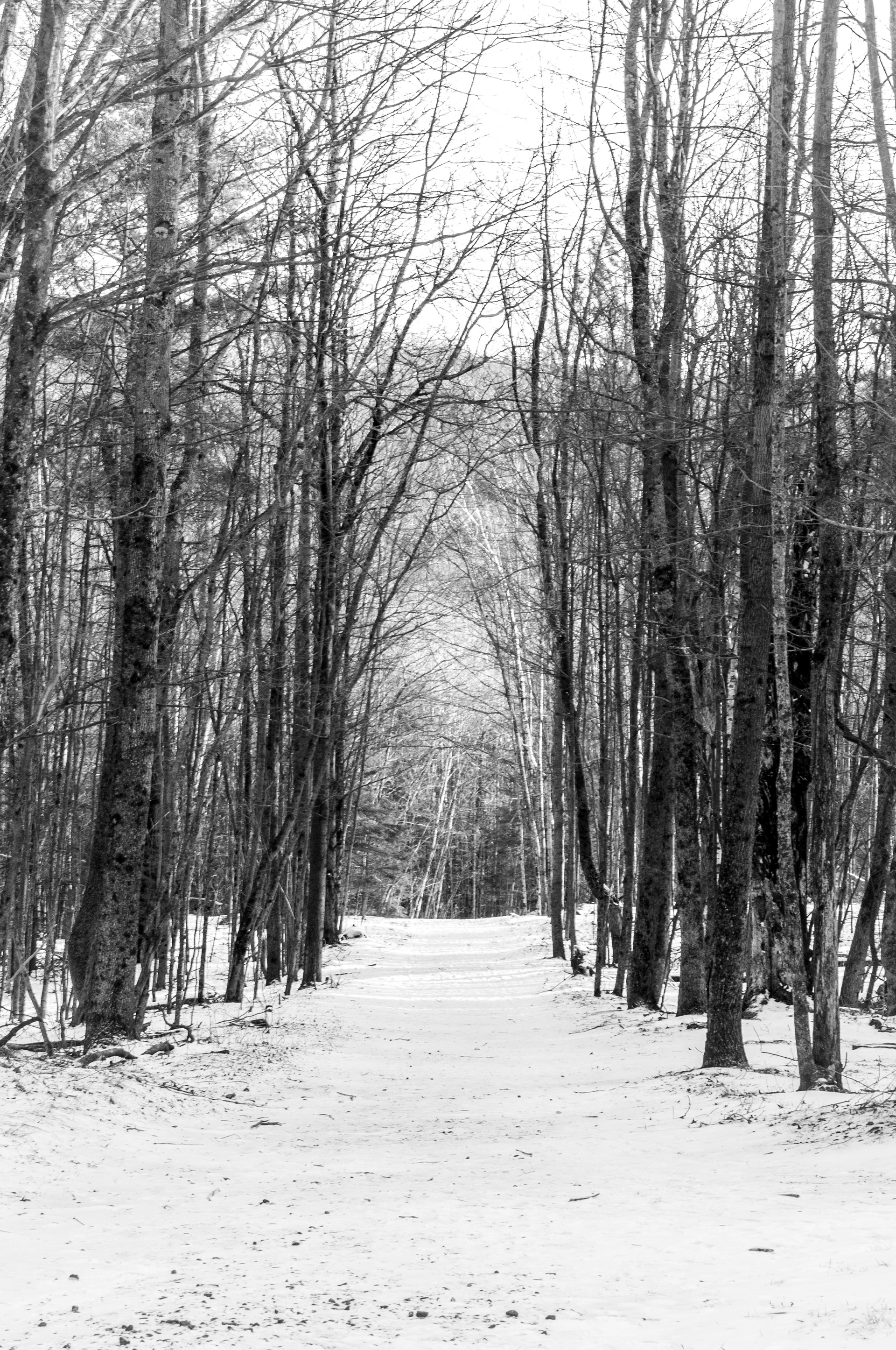 Featured in Cassandra Magazine