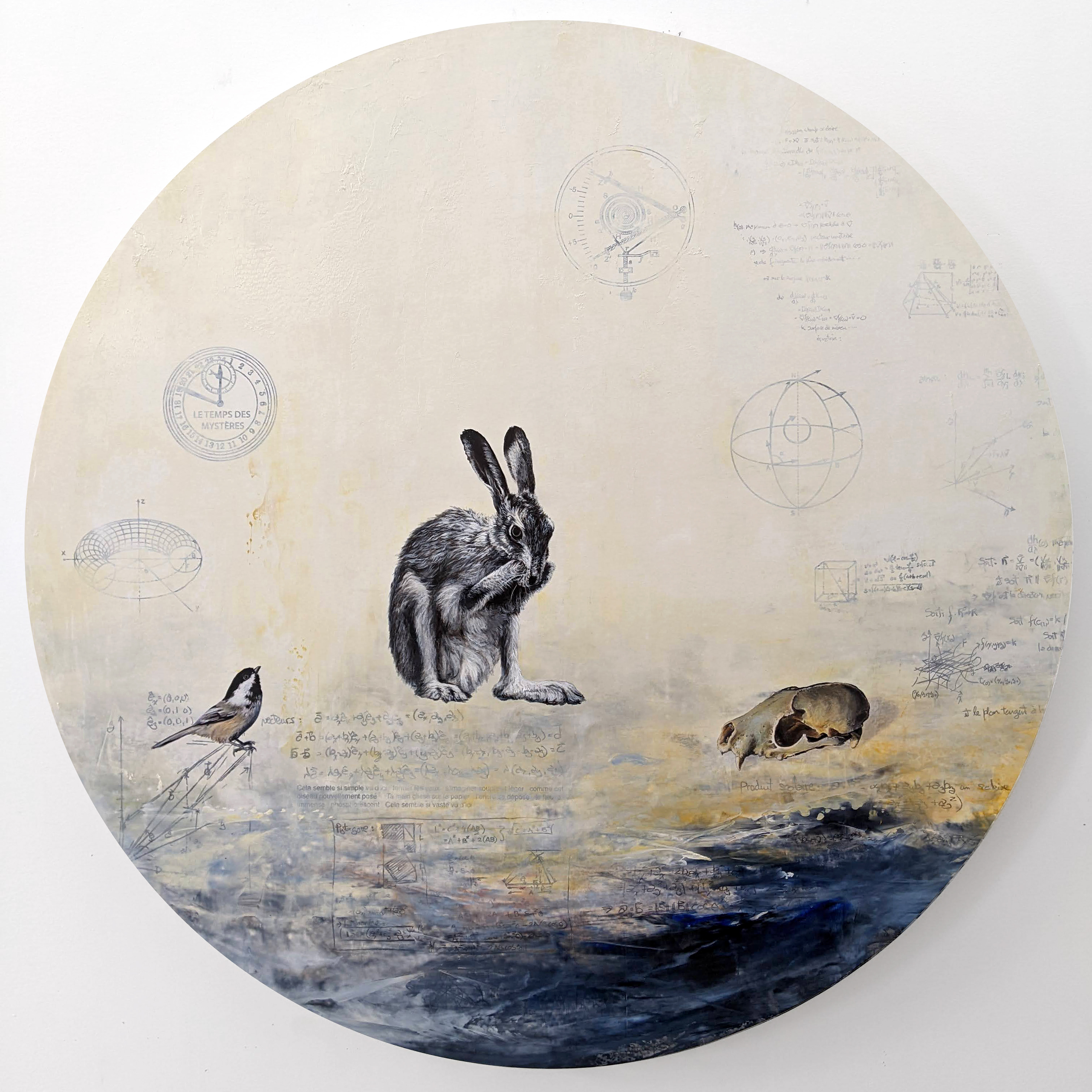 Constellation du lièvre no 32