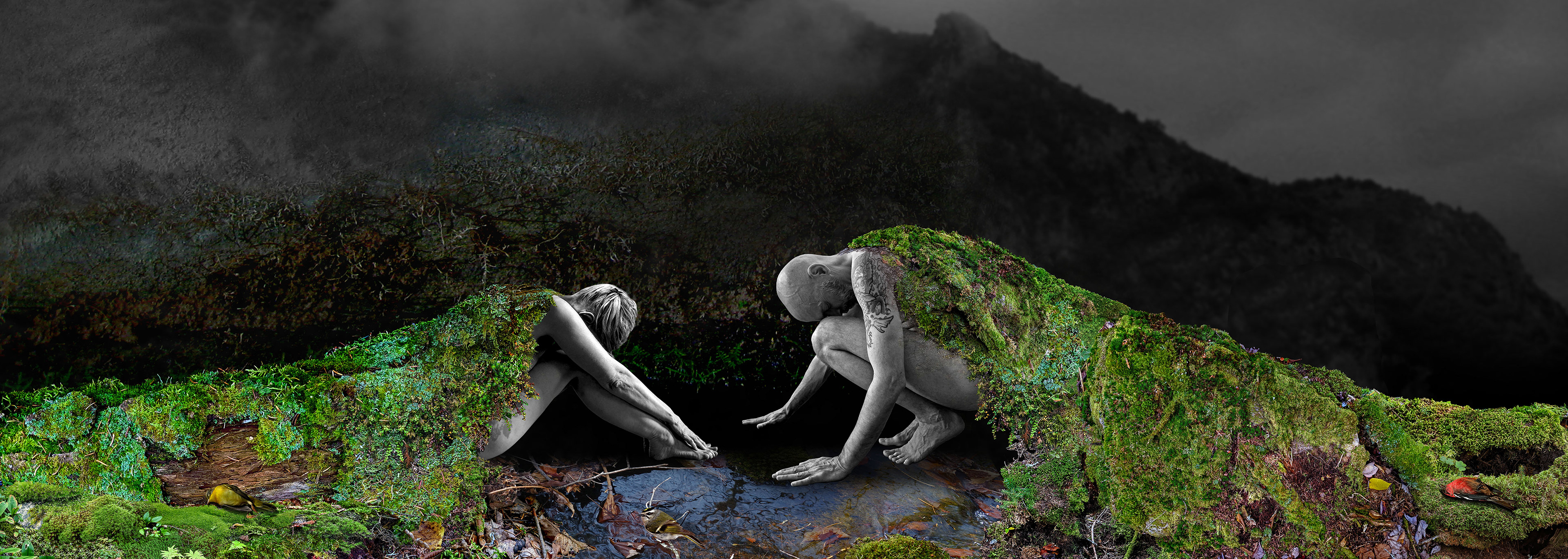 J’écris lentement sur le lichen no 14