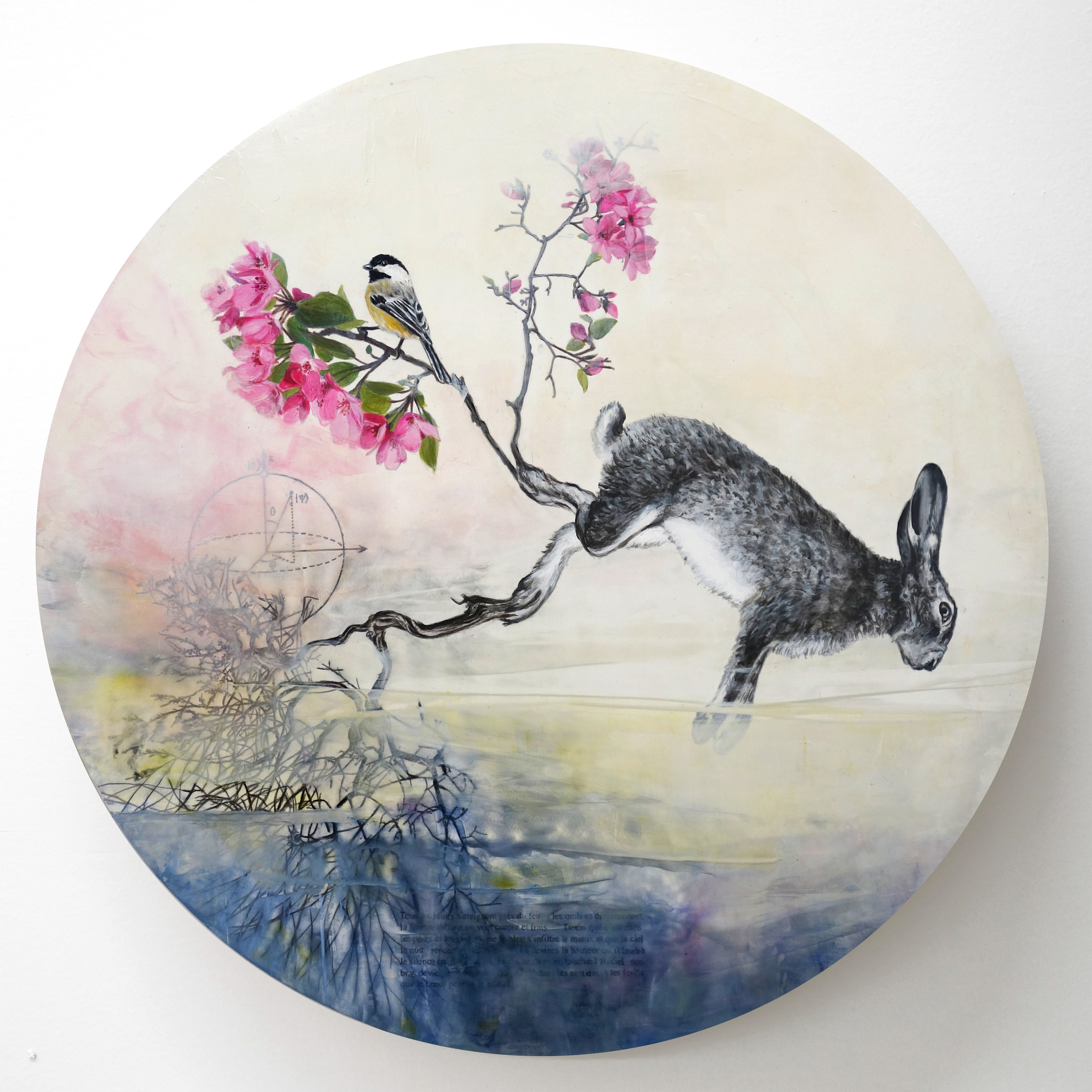 Constellation du lièvre no 12