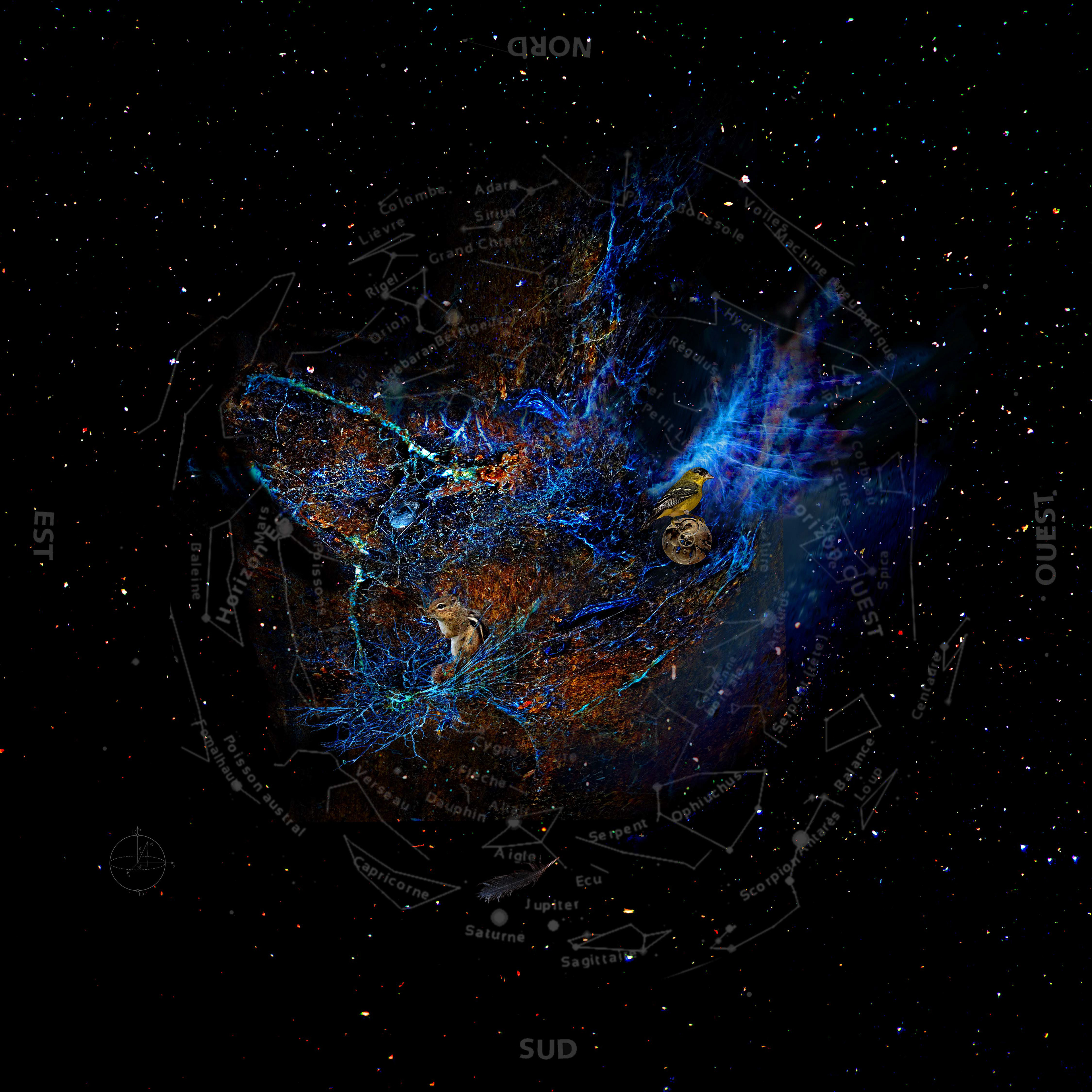 Astres occlus no 35